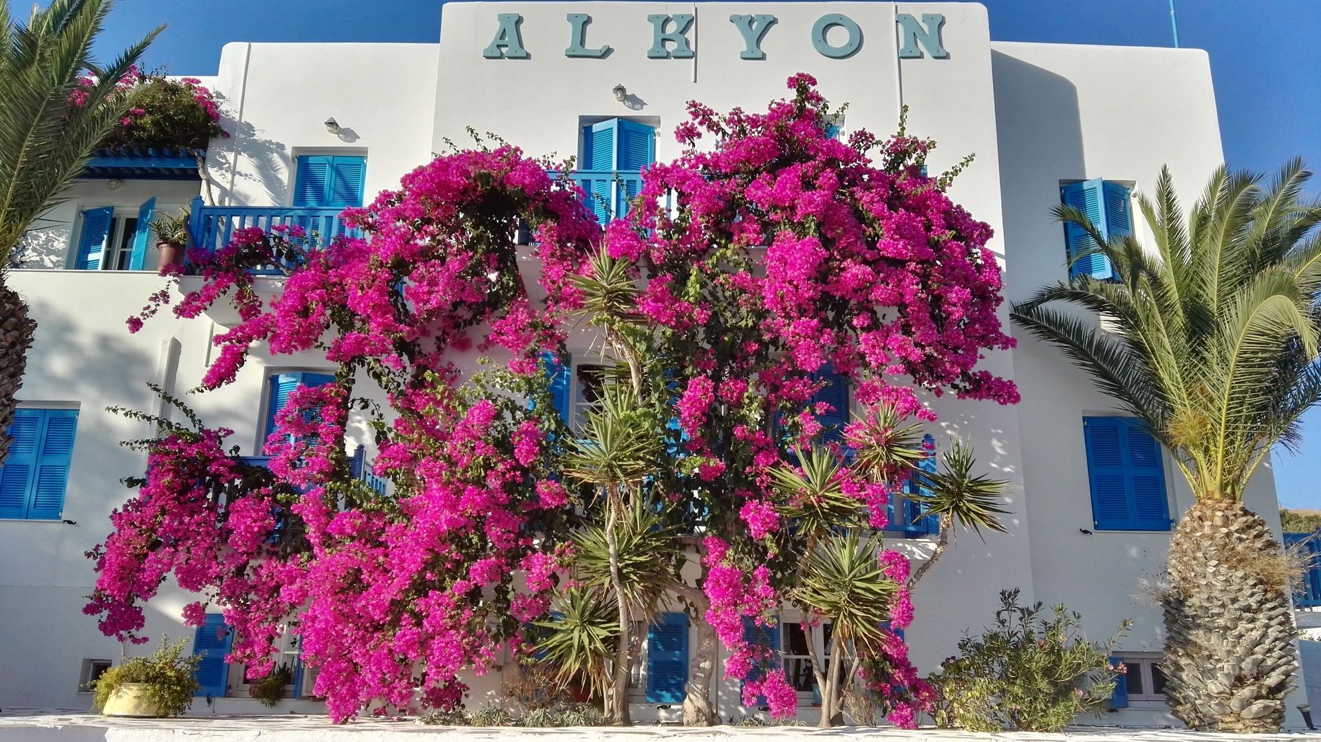 Alkyon Hotel Syros - 8