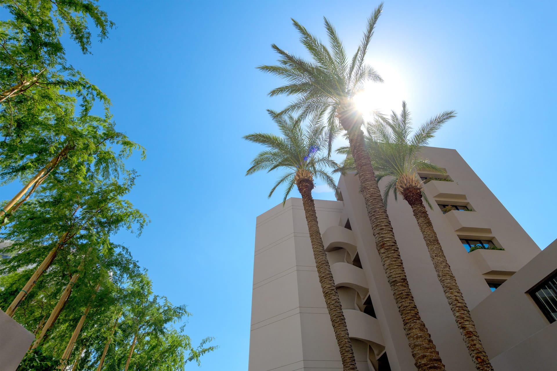 Ammades All Suites Beach Hotel  & Spa – Adults Only - 10