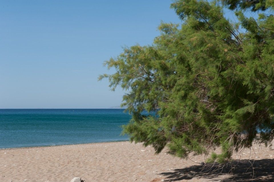 Aphrodite Samos Suites - 1