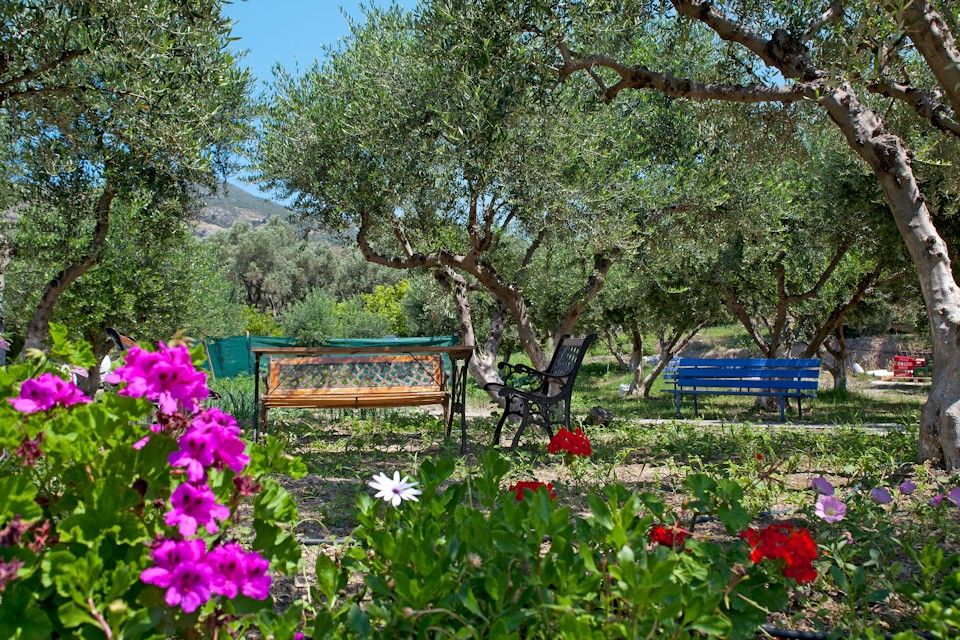Aphrodite Samos Suites - 24