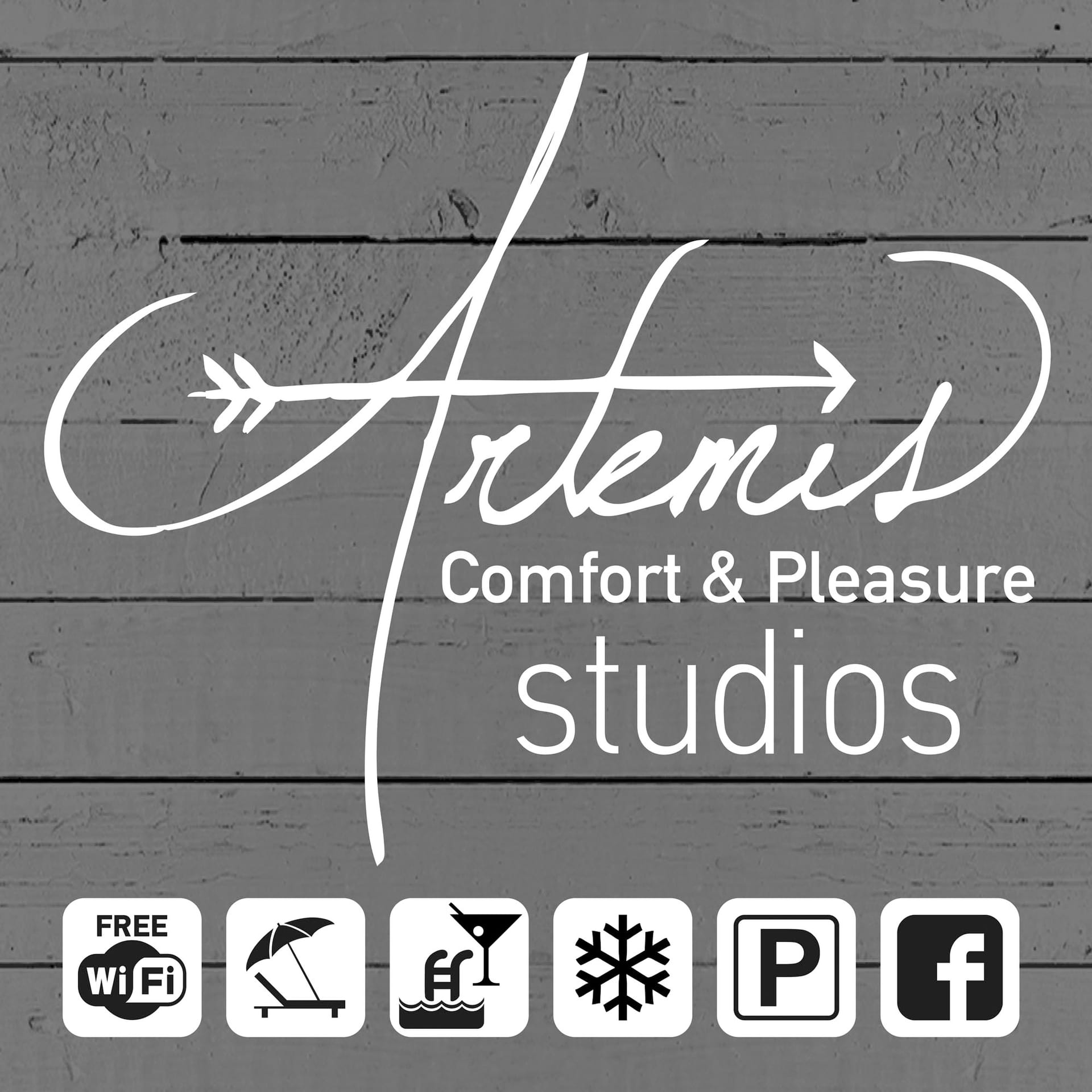 Artemis Comfort & Pleasure - 4