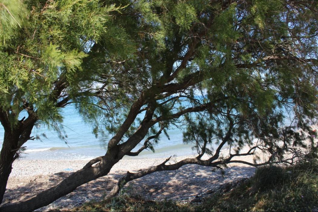 Asterias Bay Hotel - 5