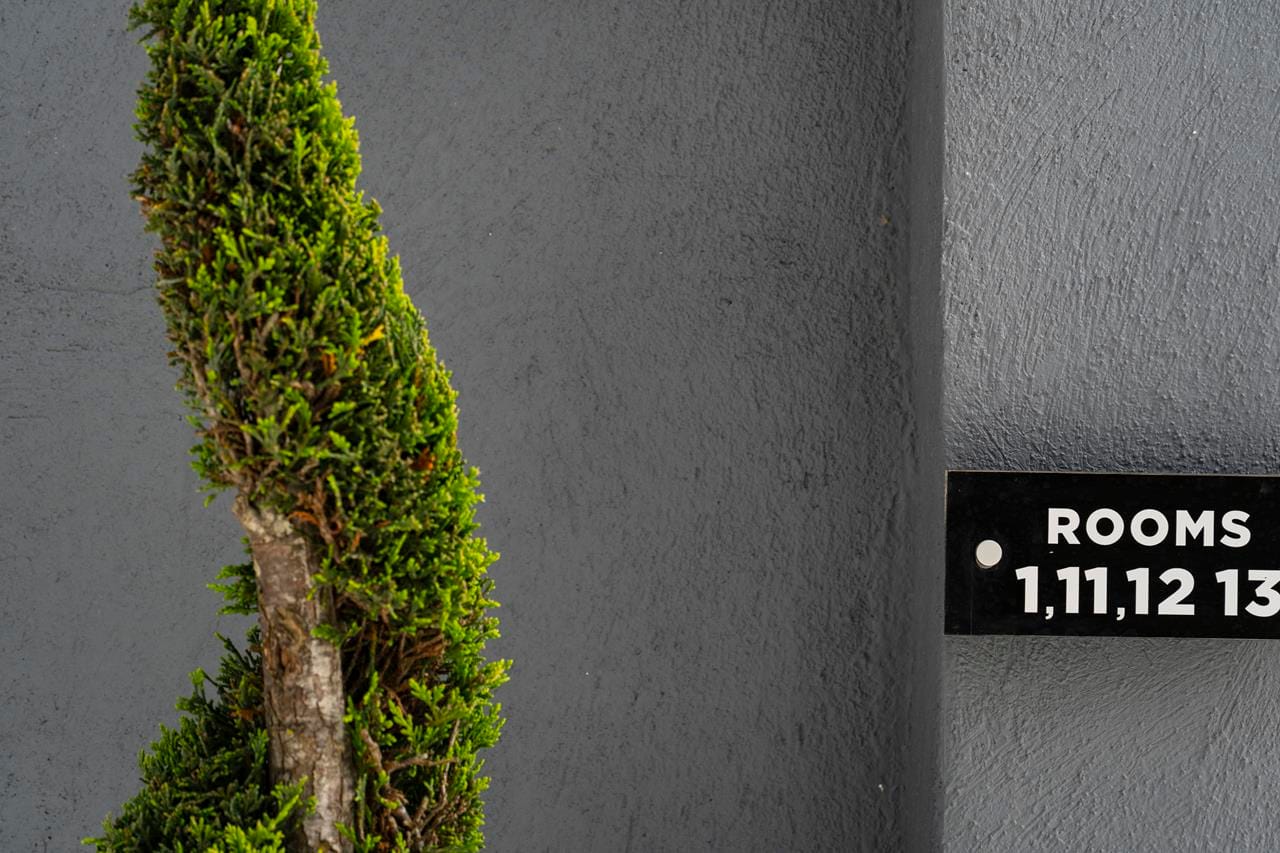 Avaton Luxury Resort Access the Enigma - 20
