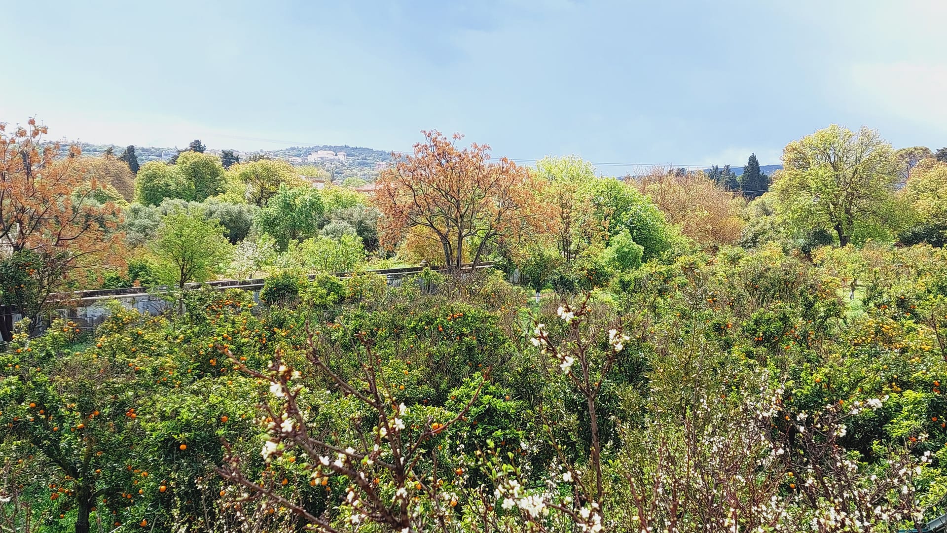 Bella Cisterna - 5