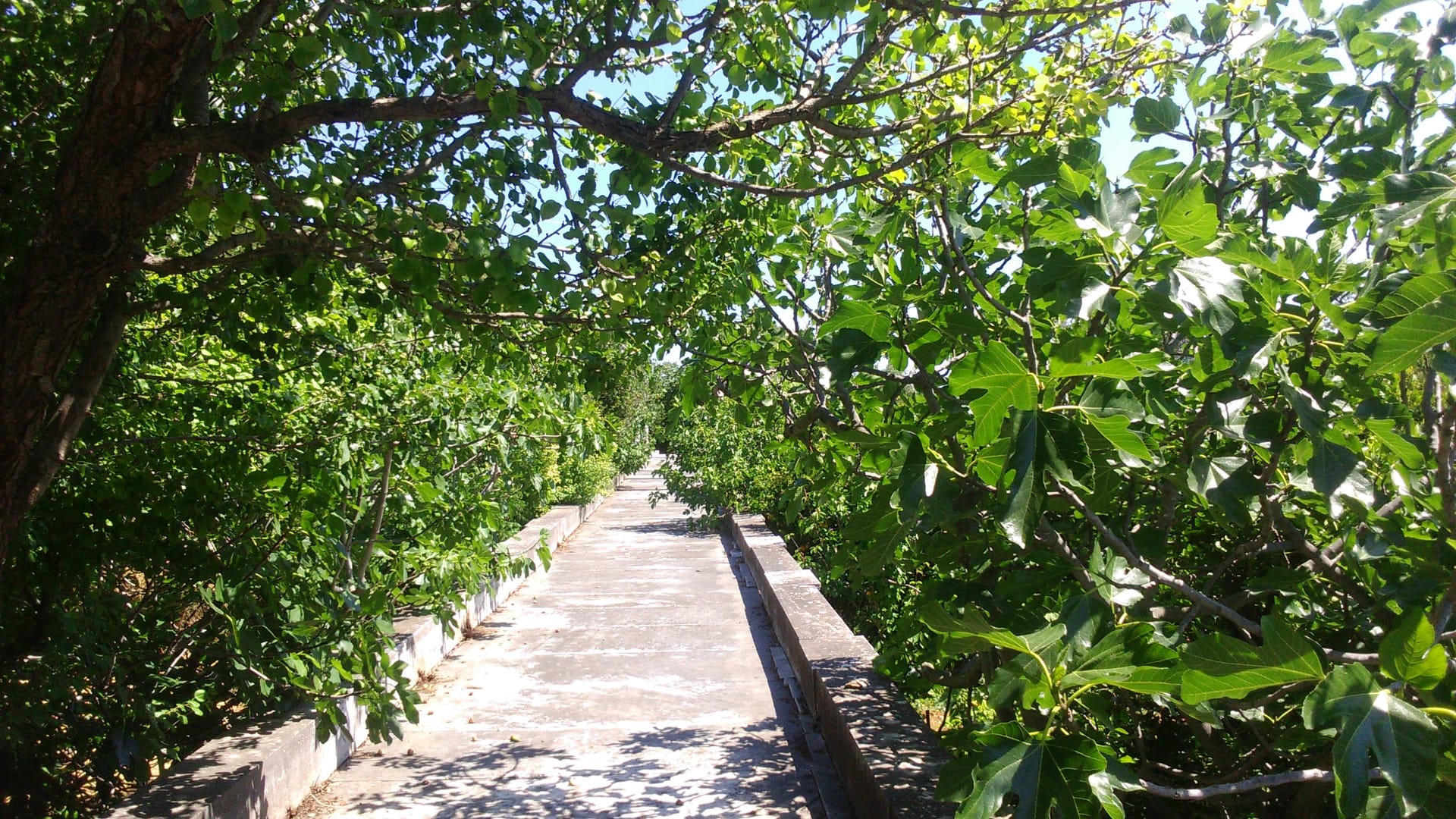 Bella Cisterna - 14