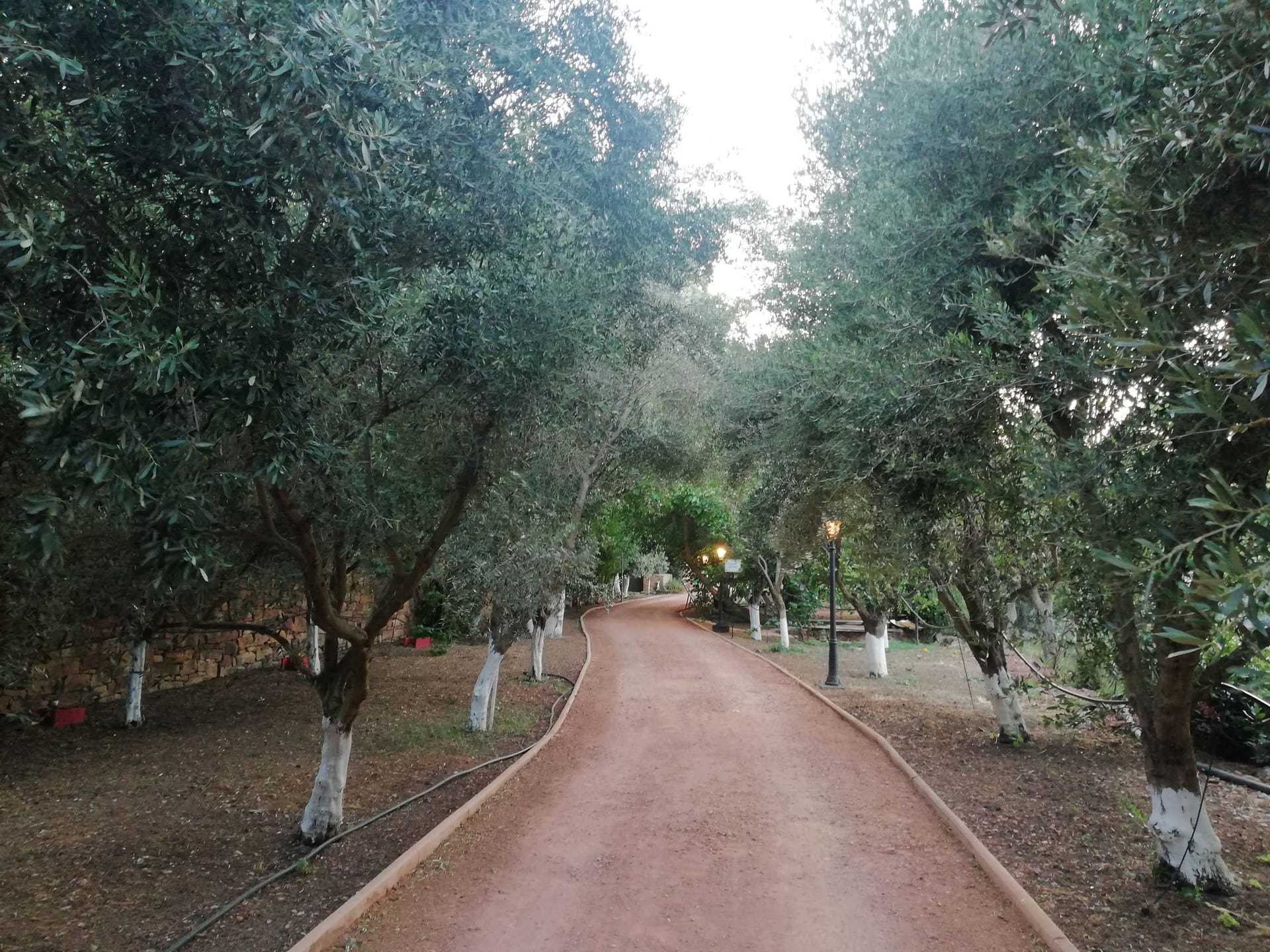Bella Cisterna - 15