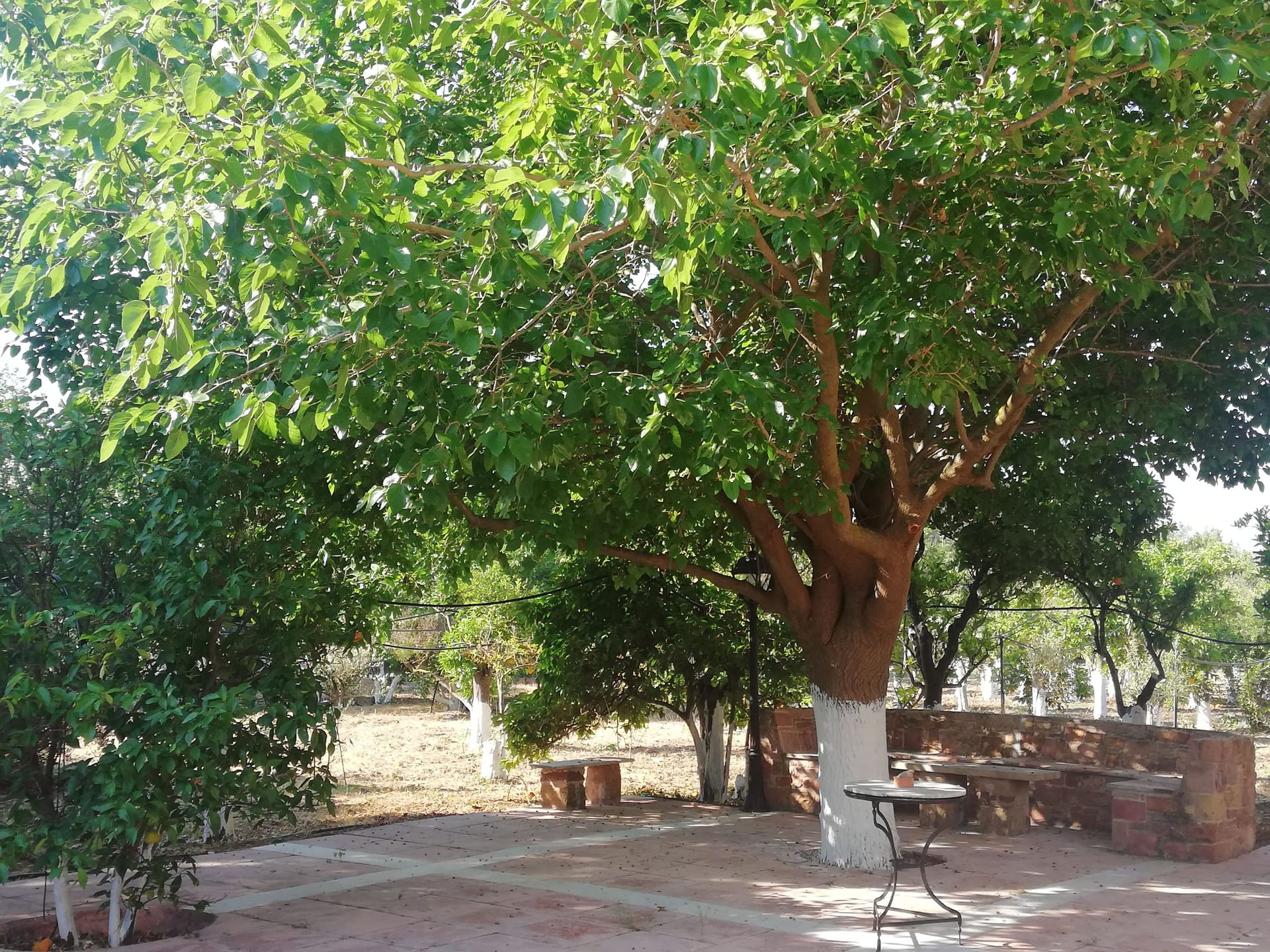 Bella Cisterna - 19