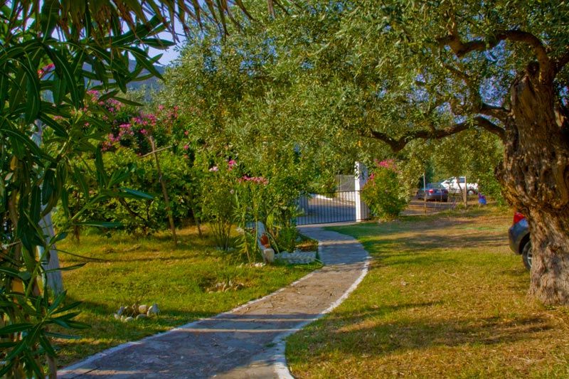 Blue Bay Beach Hotel - 12