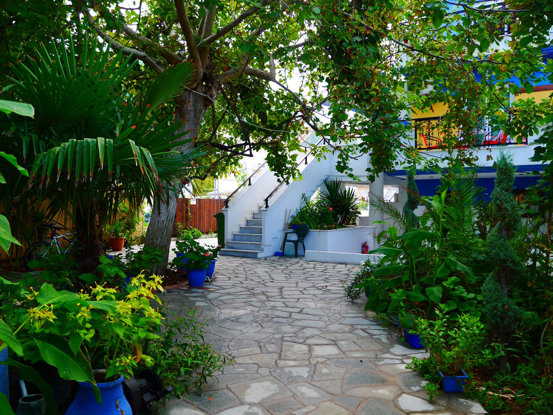 Blue Sea Beach Resort - 5