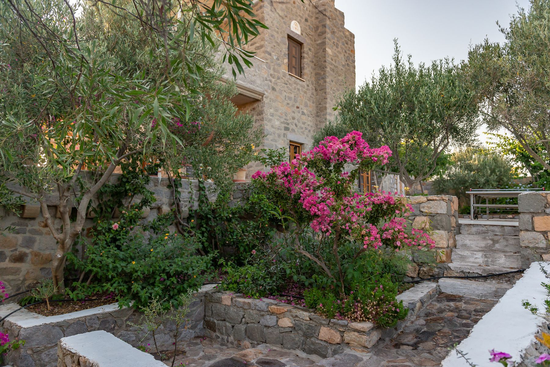 Blue Vista Villas Patmos - 1