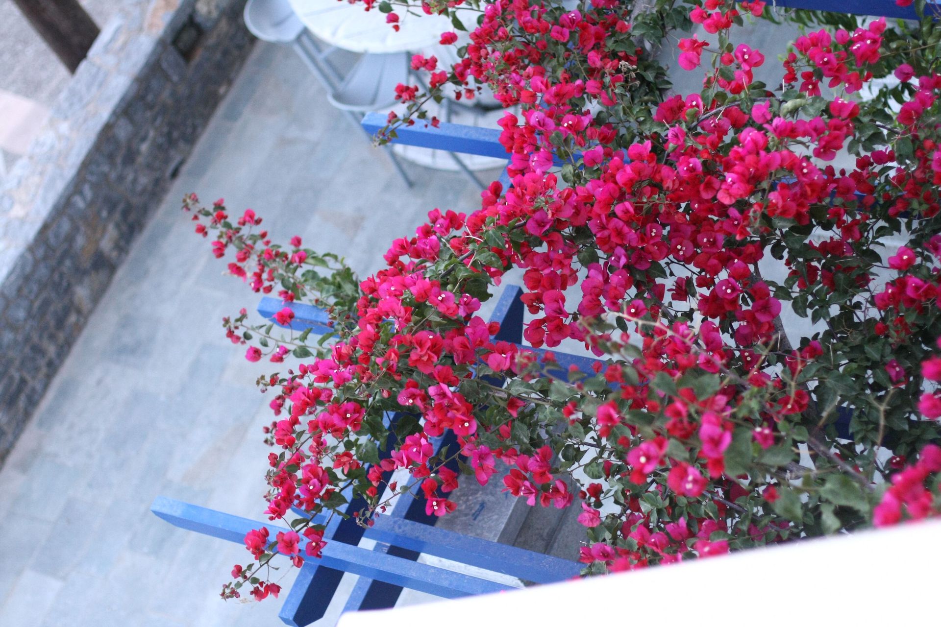 Chios Xenia - 10