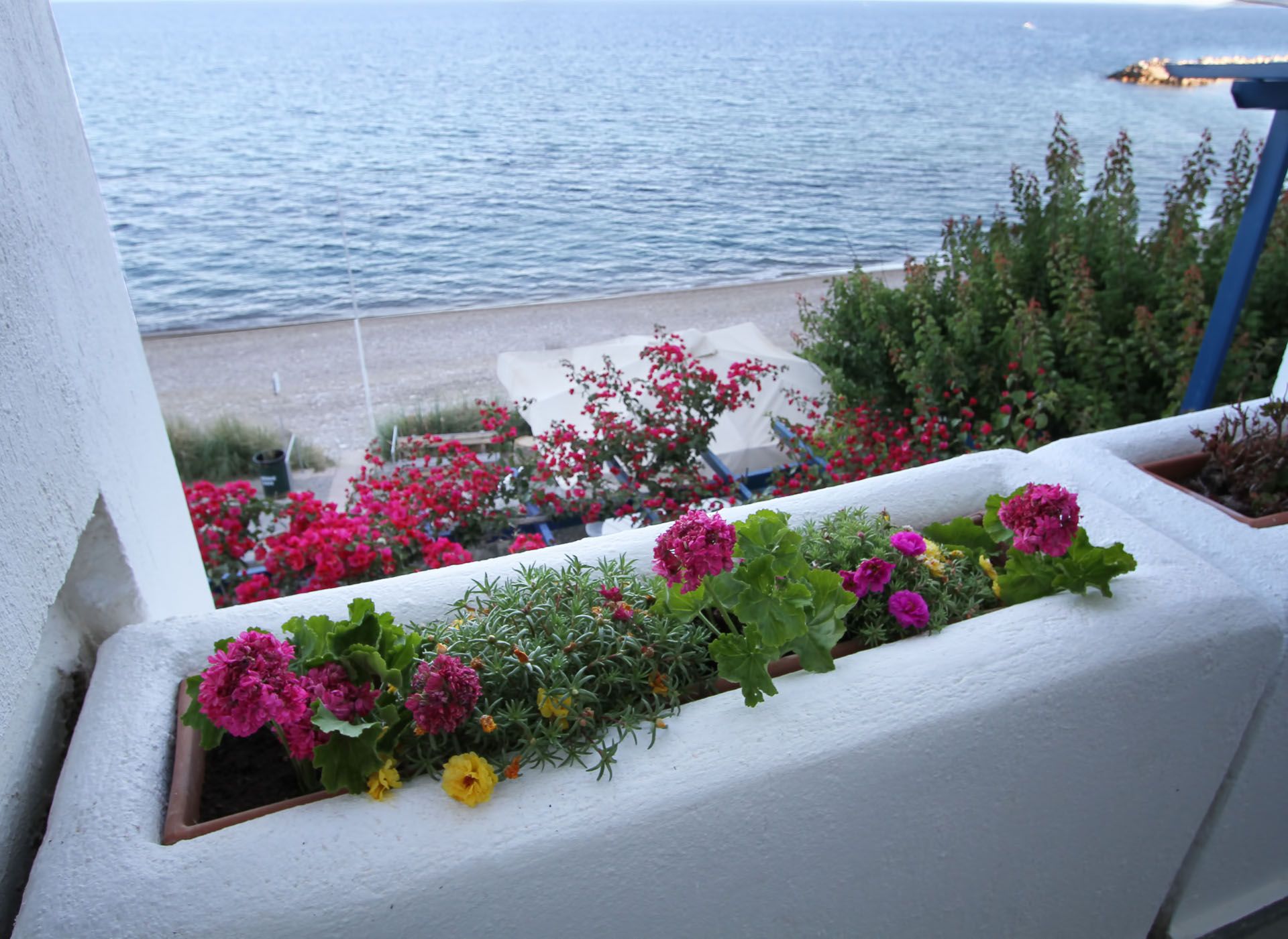 Chios Xenia - 12