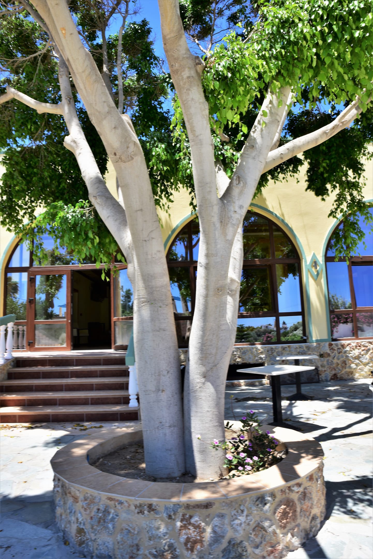 Chrysoula Hotel - 7