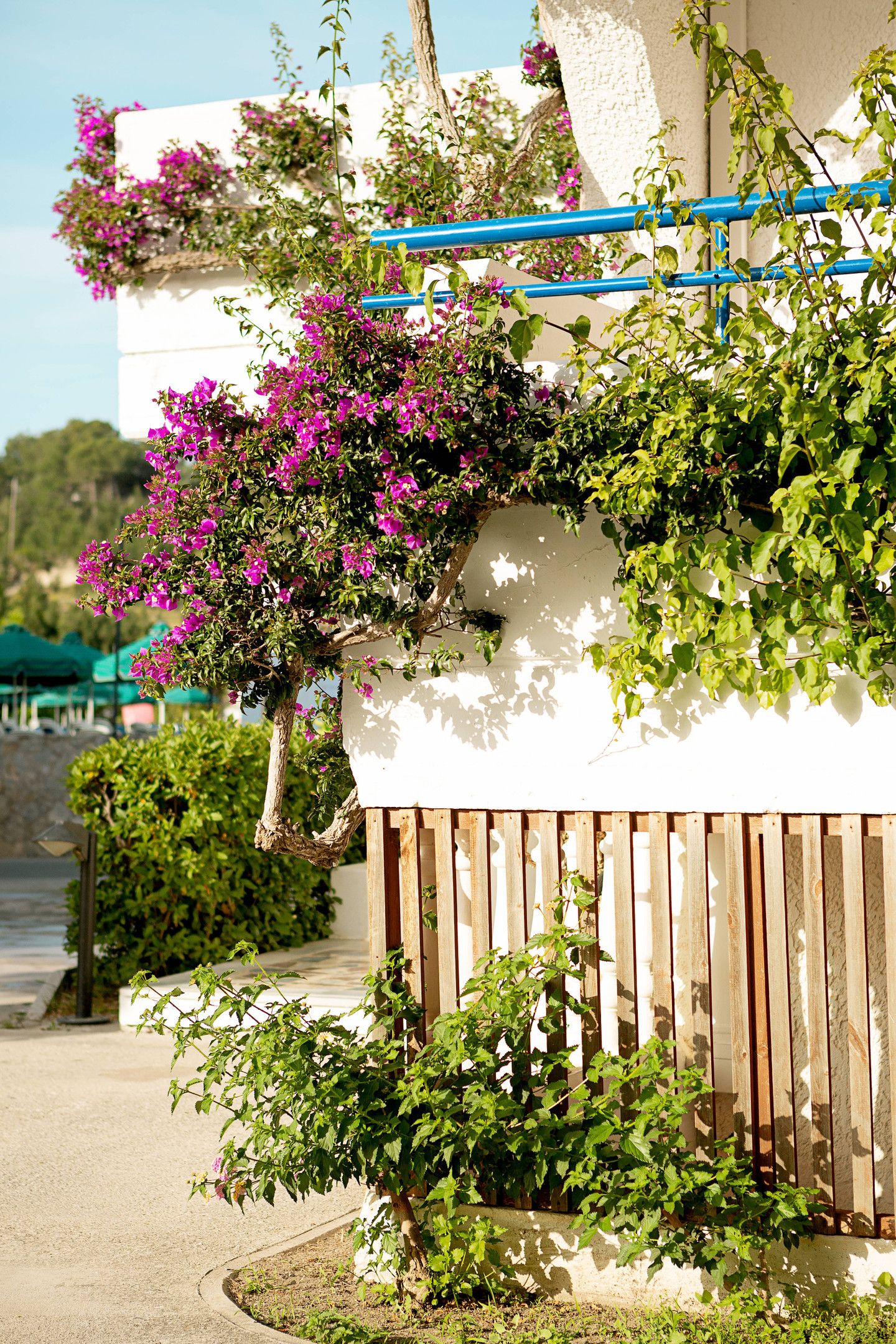 Cyprotel Faliraki Hotel Rhodes - 83