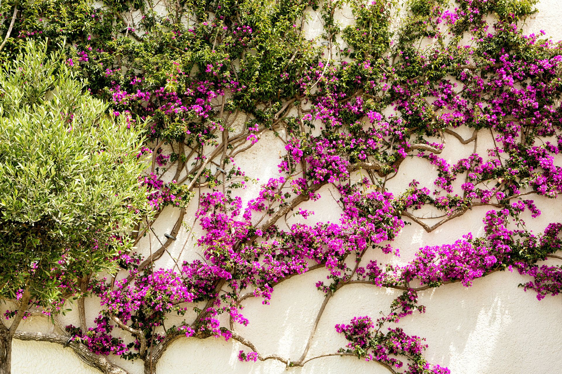 Cyprotel Faliraki Hotel Rhodes - 84