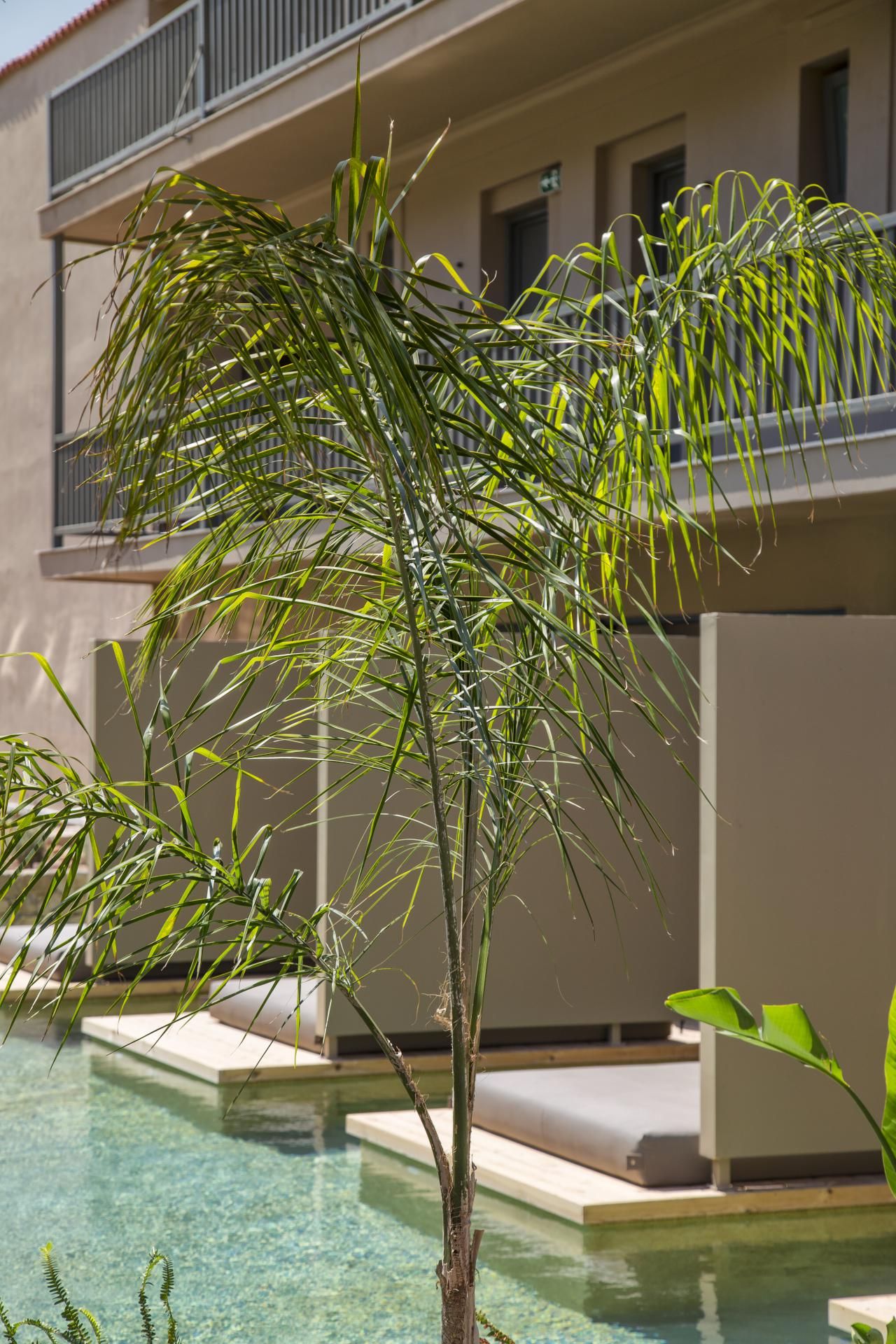 Doryssa Boutique Hotel - 11