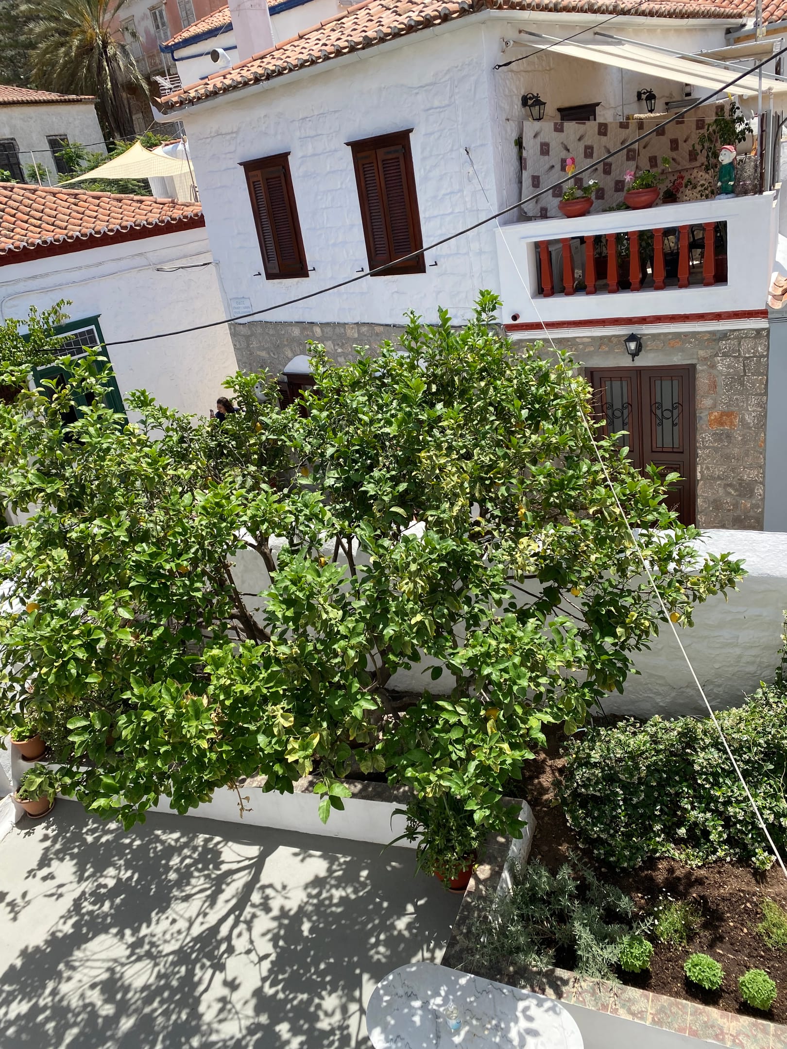Douskos Uptown Living Hydra - 10