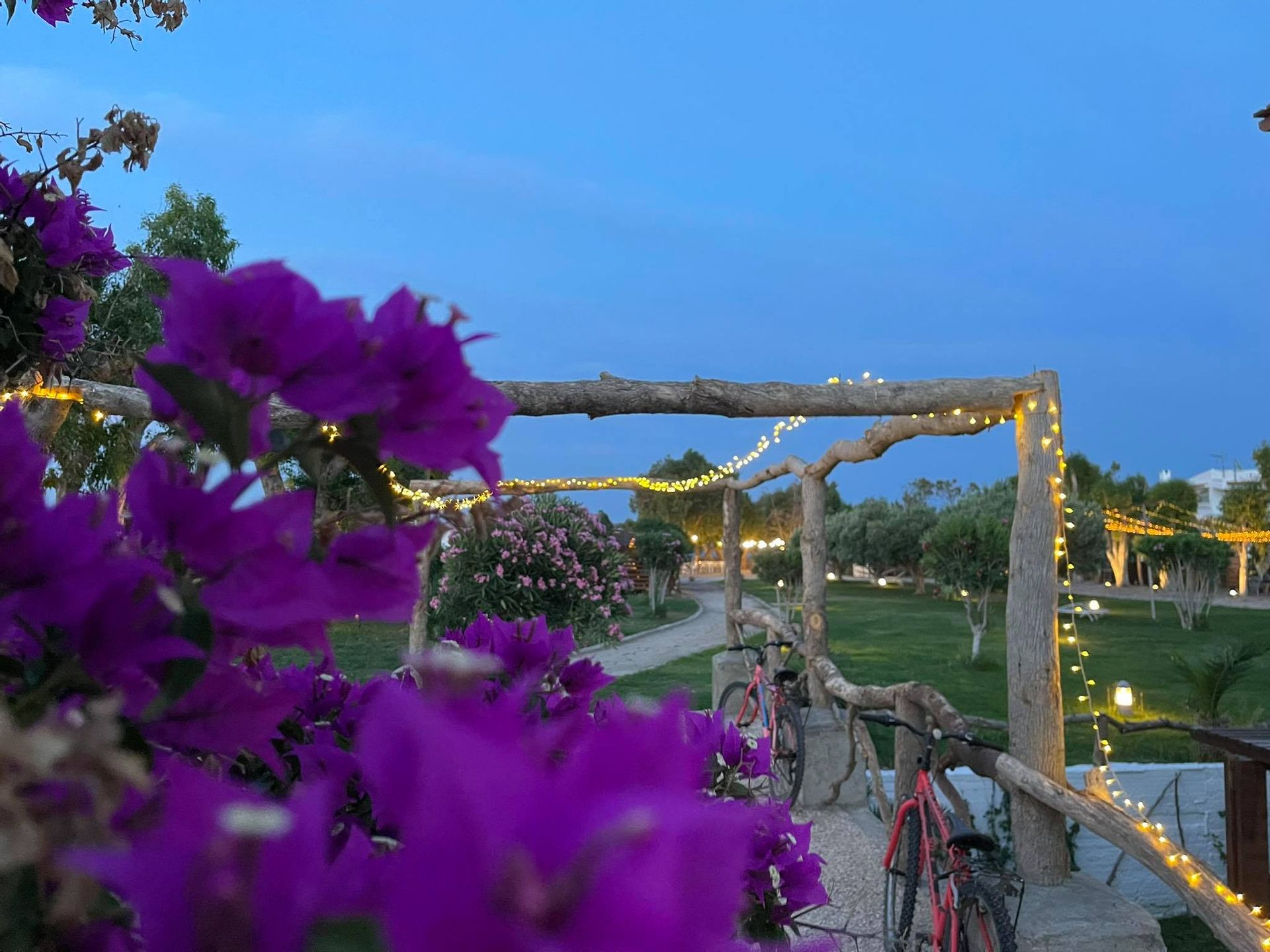 Eco Beach & Magic Garden Hotel - 5
