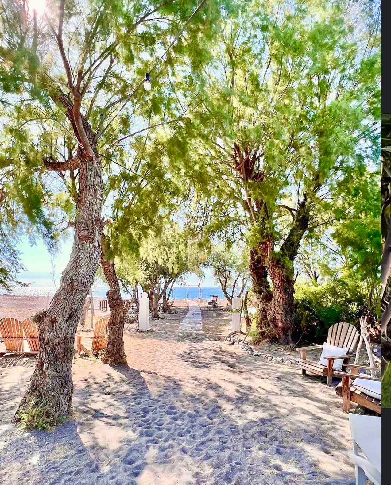 Eco Beach & Magic Garden Hotel - 22