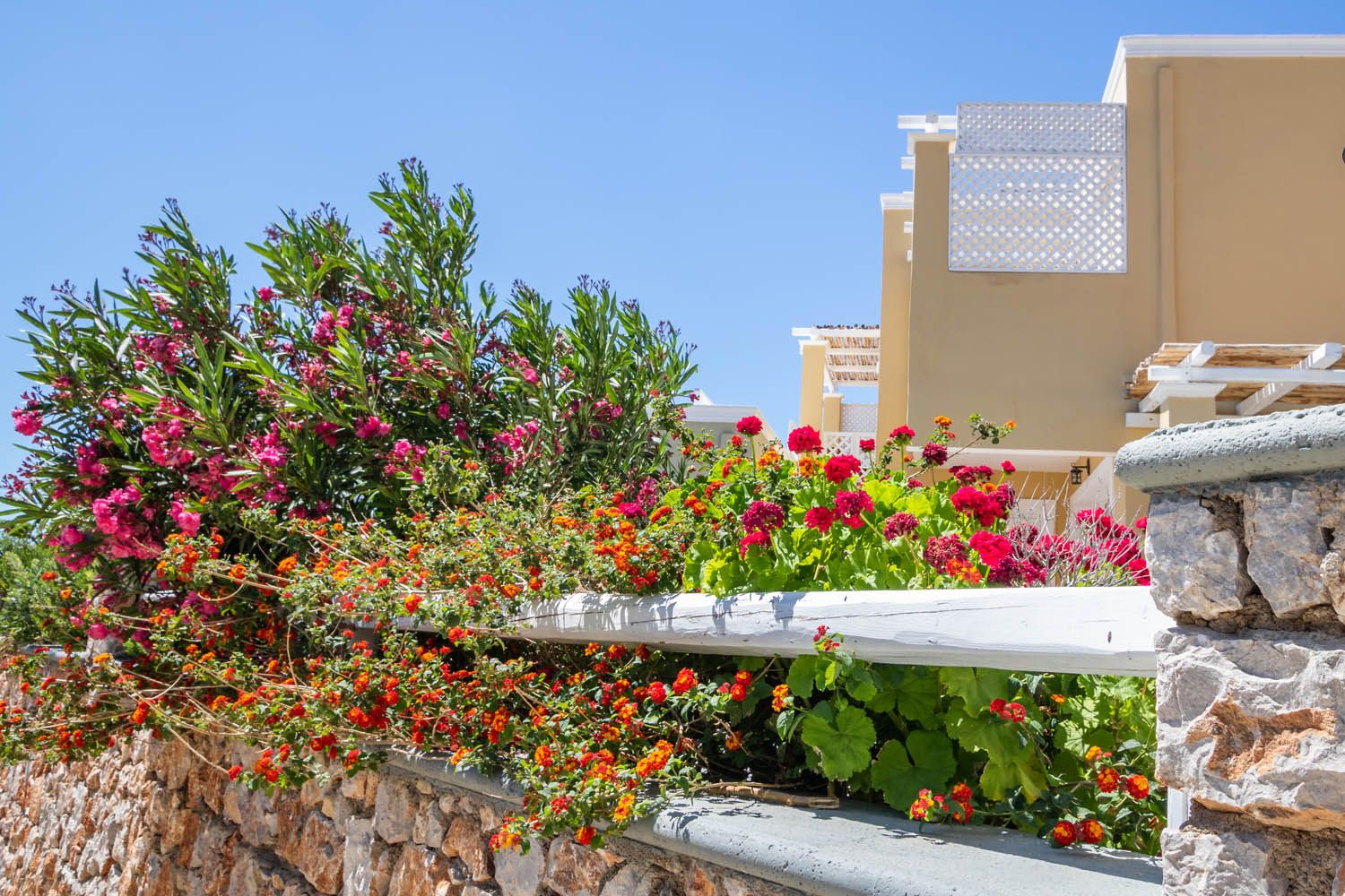 Elaia Villas Karpathos - 48