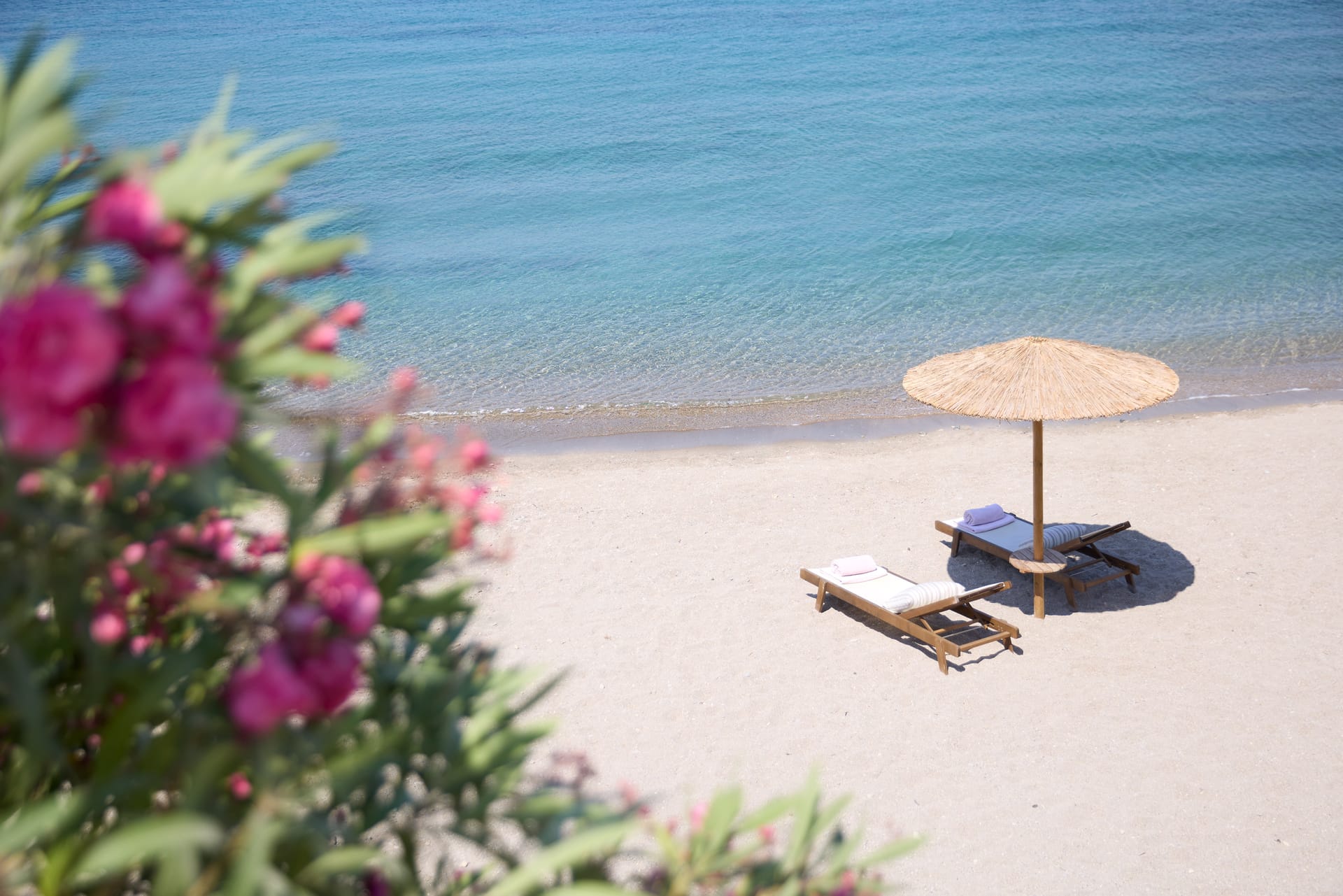 Elissa Adults-Only Lifestyle Beach Resort - 8