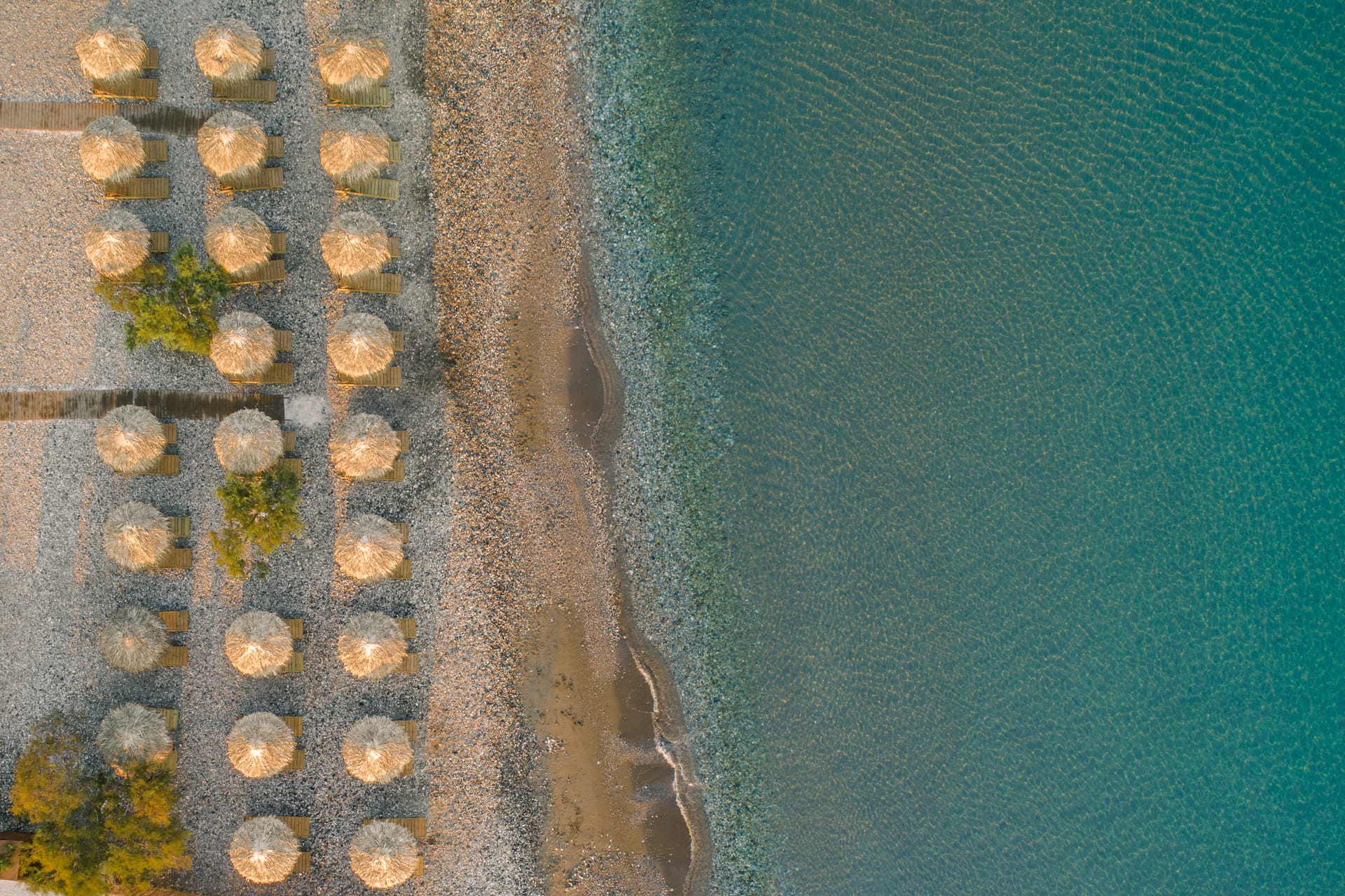 Erato Seaside Hotel - 5
