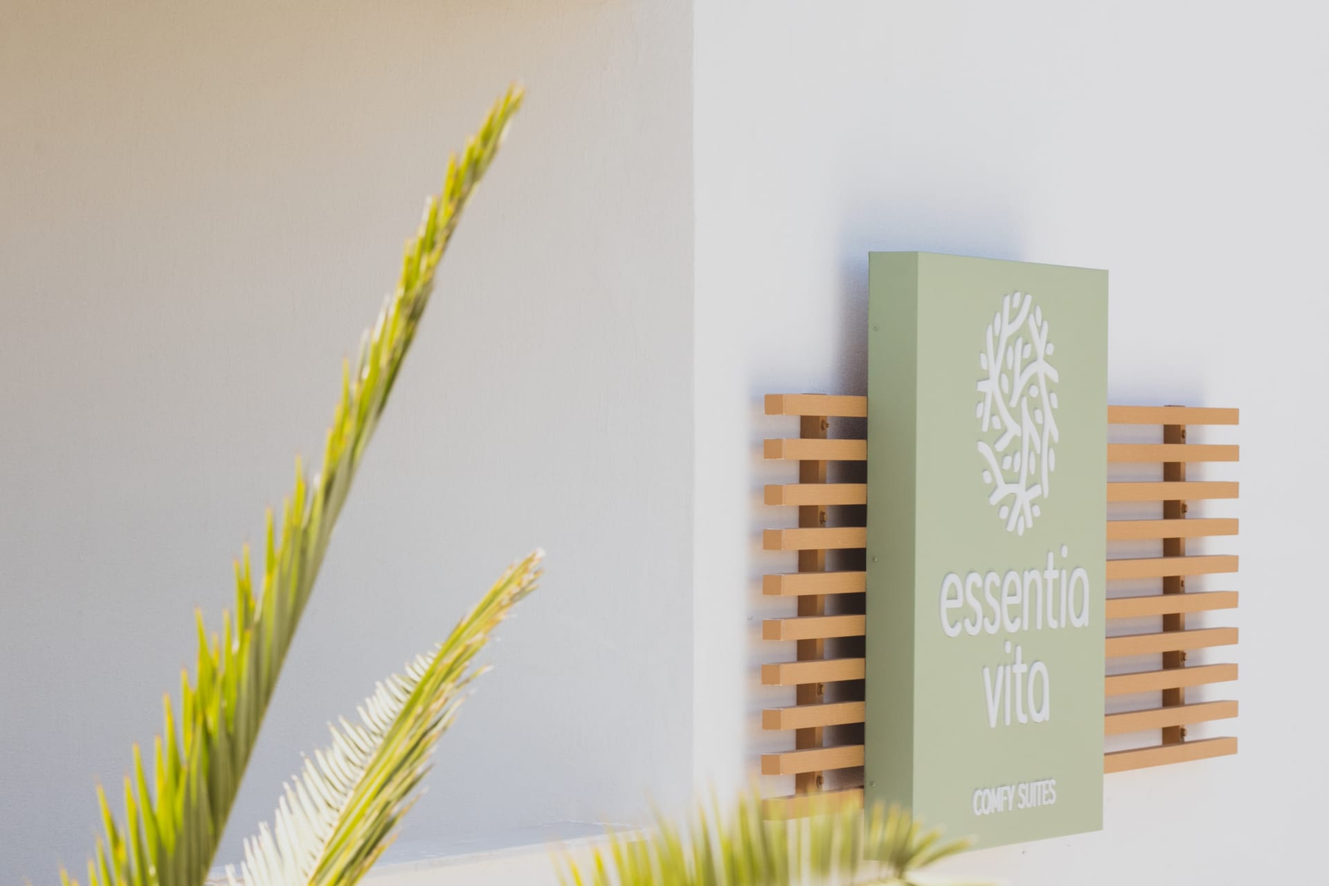 Essentia Vita - 6