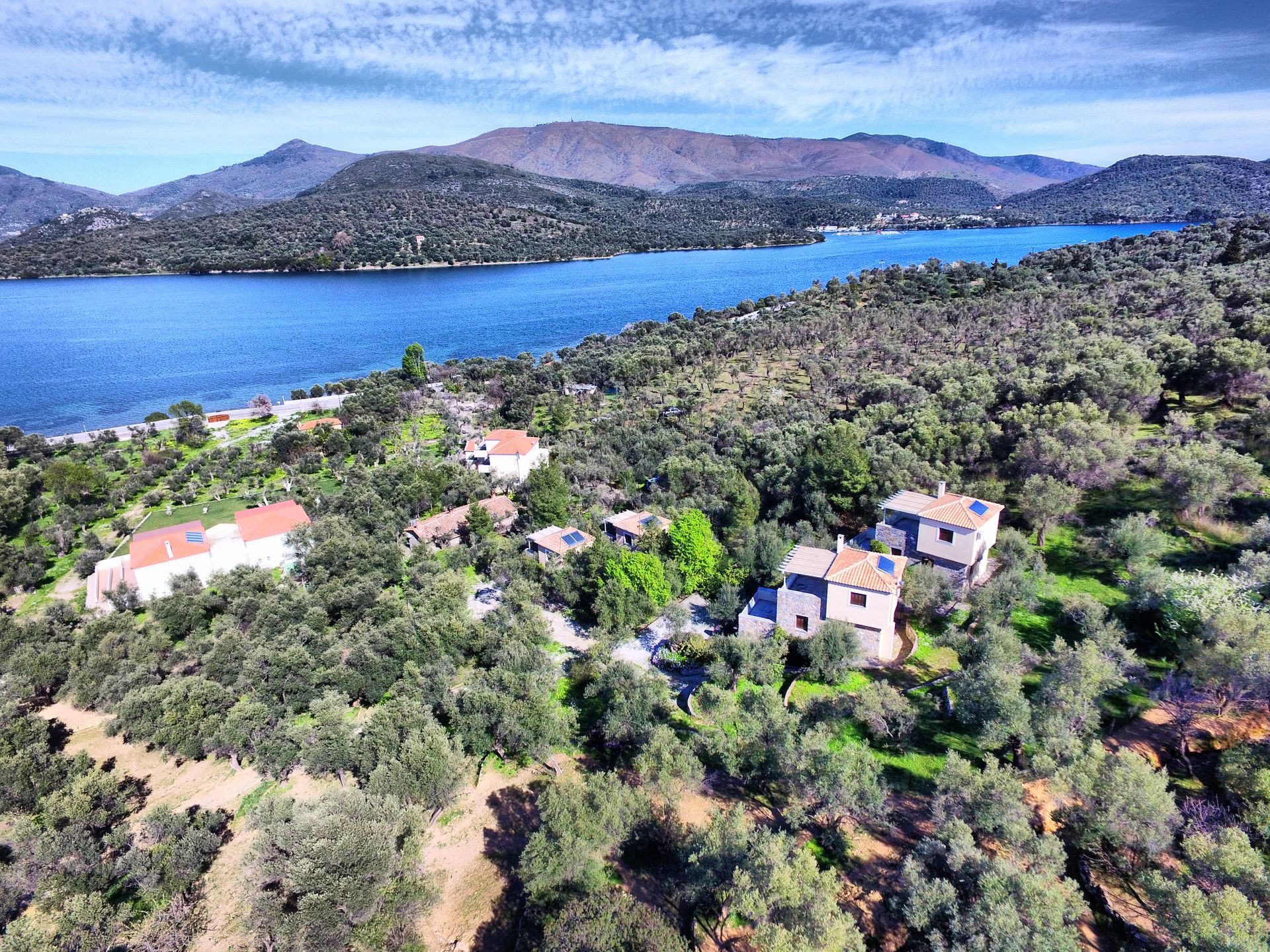 Gera's Olive Grove (Elaionas Tis Geras) - 1