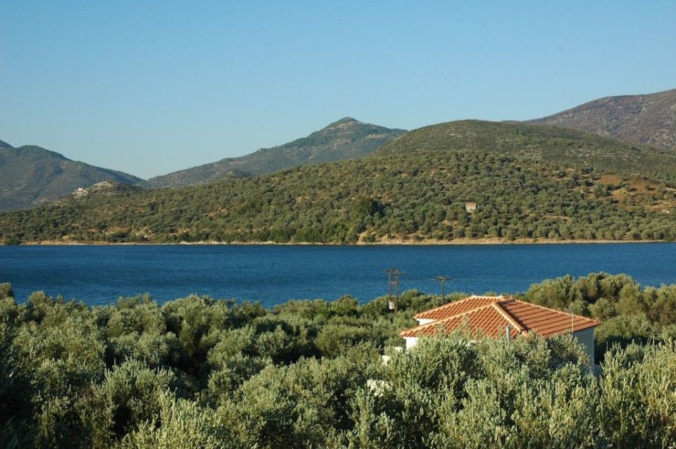 Gera's Olive Grove (Elaionas Tis Geras) - 2