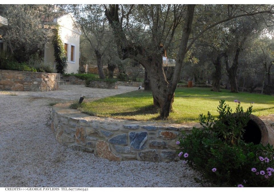 Gera's Olive Grove (Elaionas Tis Geras) - 3