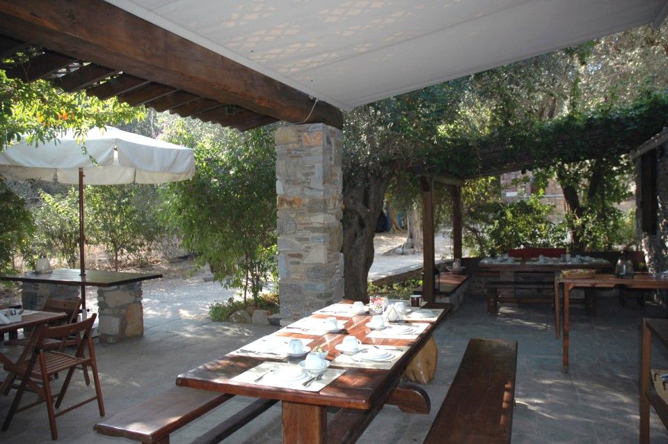 Gera's Olive Grove (Elaionas Tis Geras) - 4