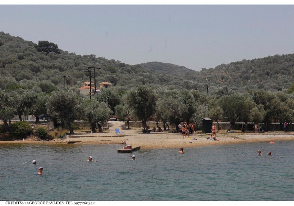 Gera's Olive Grove (Elaionas Tis Geras) - 6