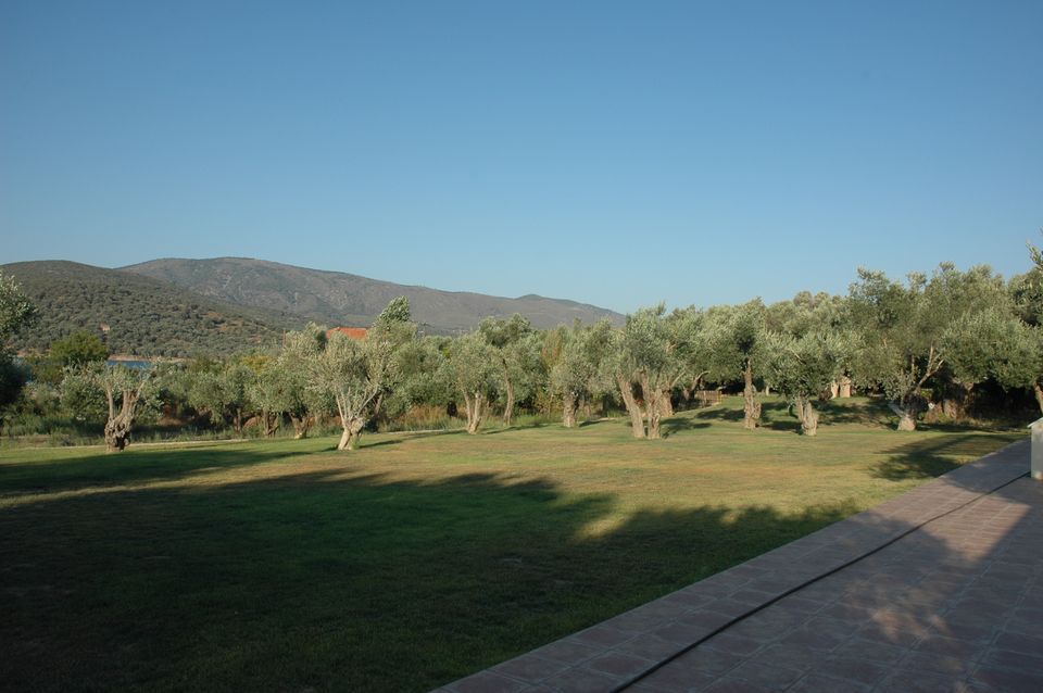 Gera's Olive Grove (Elaionas Tis Geras) - 10
