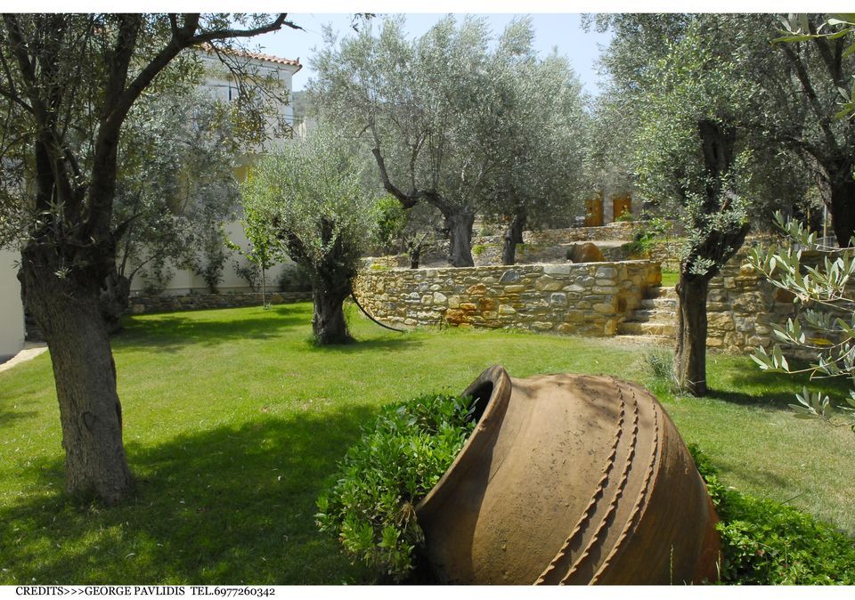 Gera's Olive Grove (Elaionas Tis Geras) - 20
