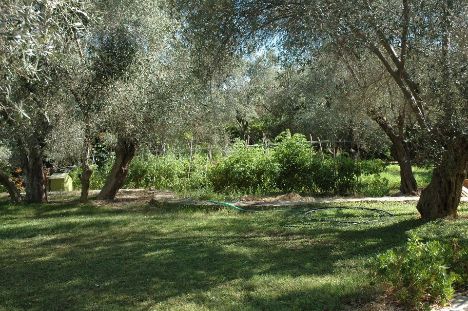 Gera's Olive Grove (Elaionas Tis Geras) - 21