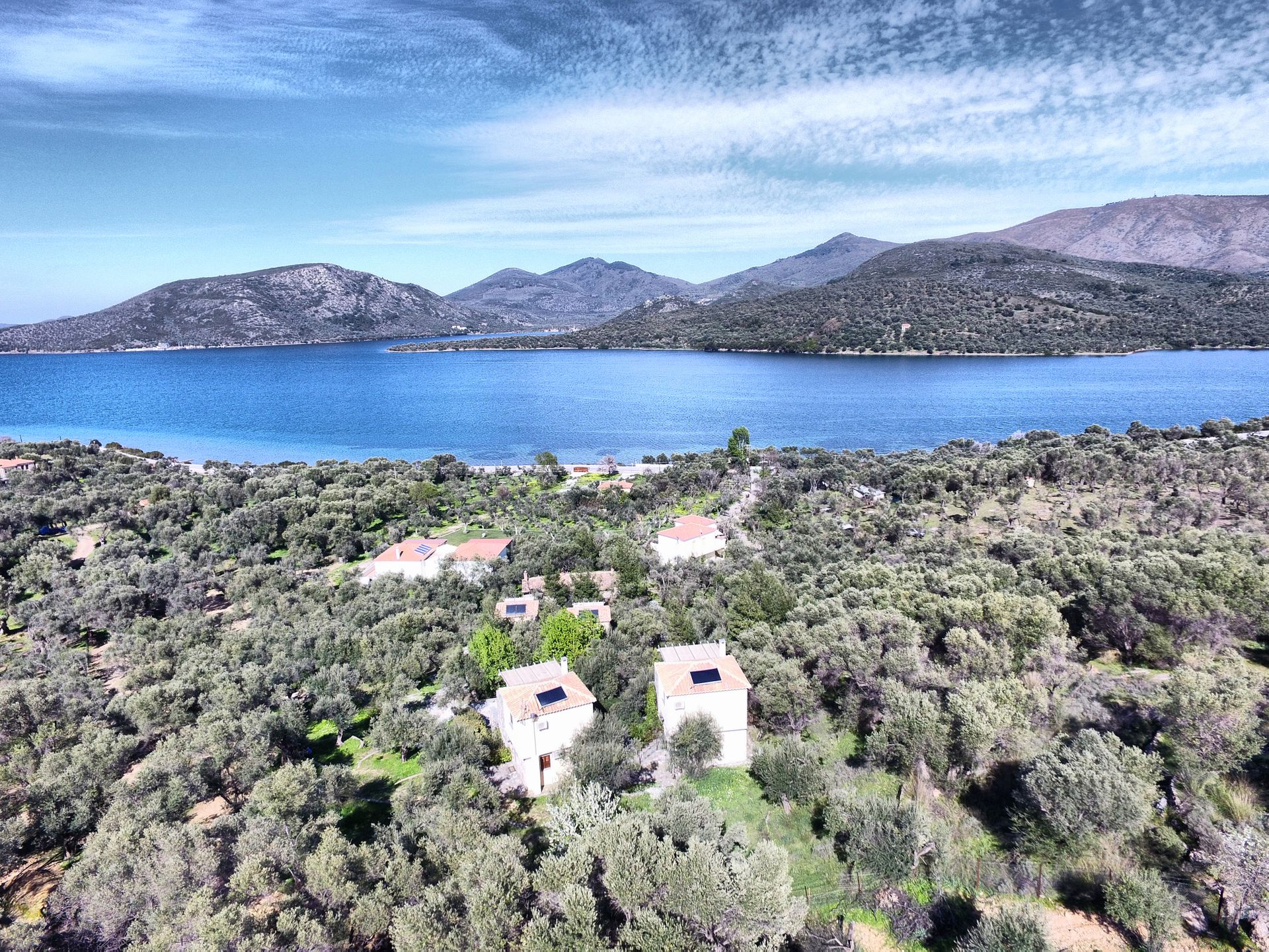 Gera's Olive Grove (Elaionas Tis Geras) - 25