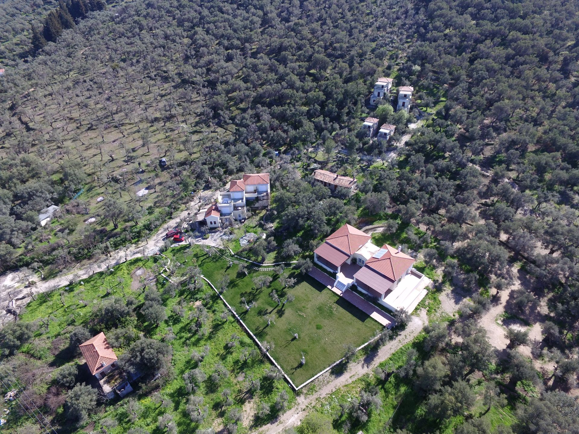 Gera's Olive Grove (Elaionas Tis Geras) - 26