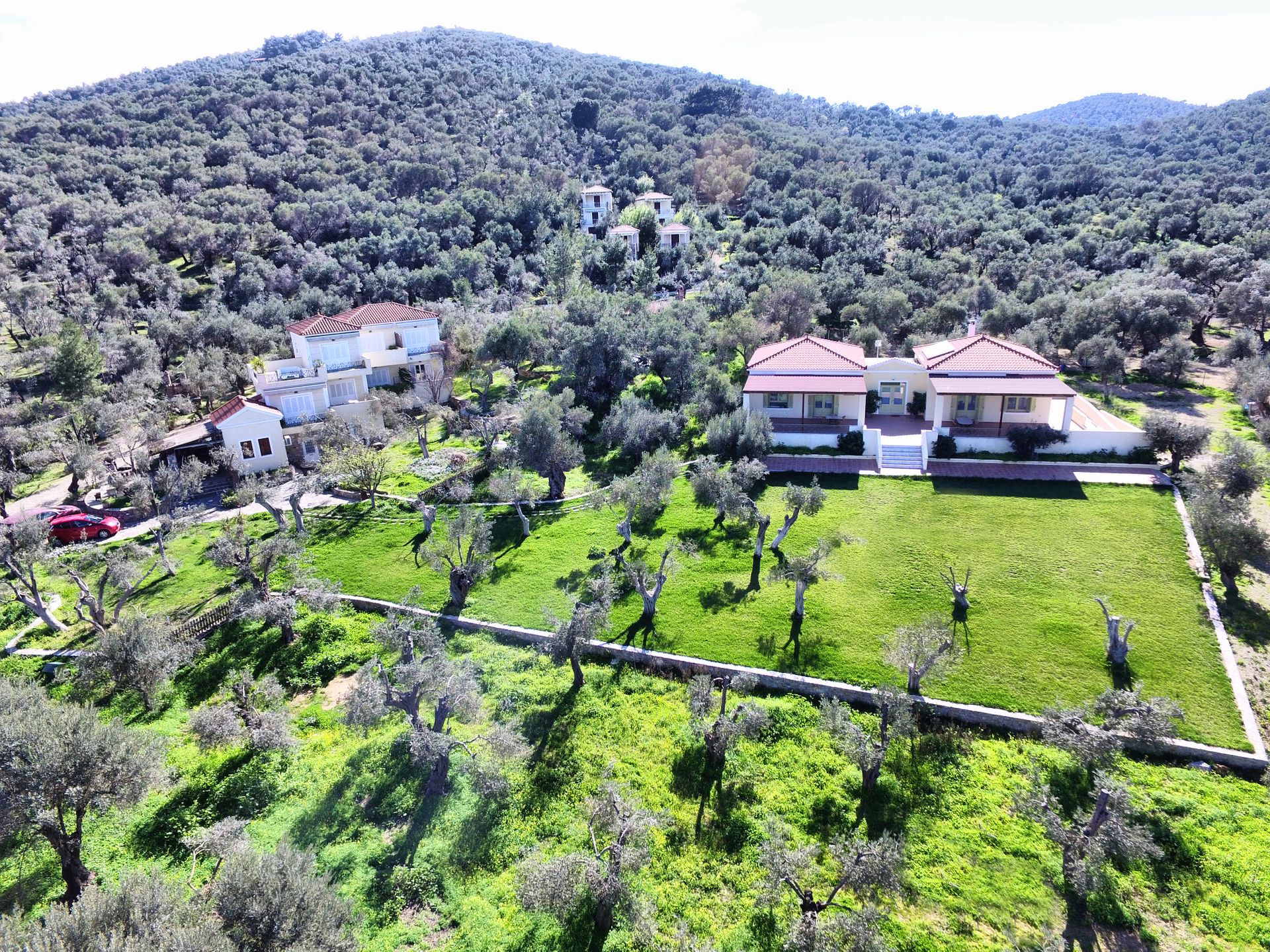 Gera's Olive Grove (Elaionas Tis Geras) - 27