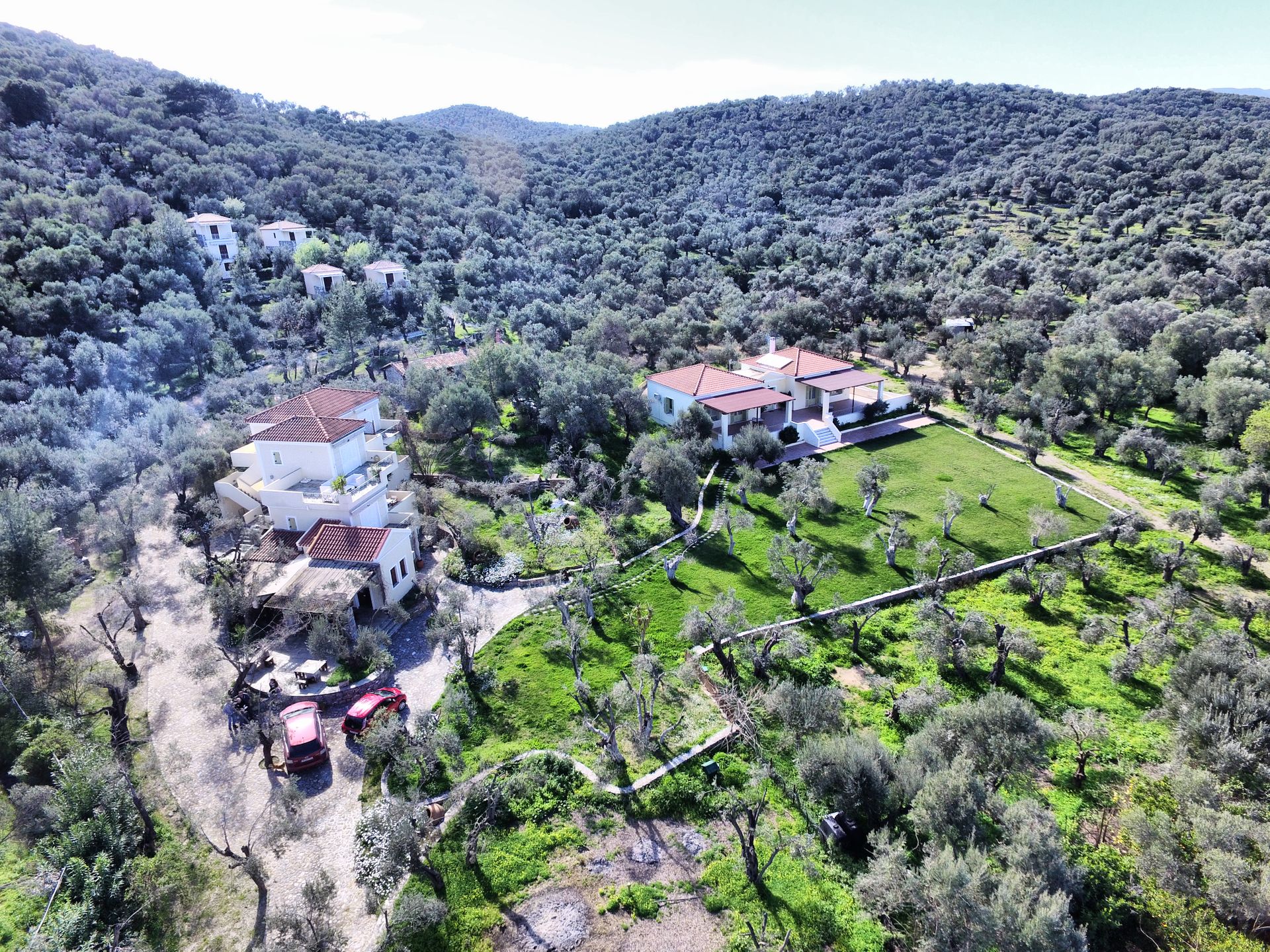 Gera's Olive Grove (Elaionas Tis Geras) - 28