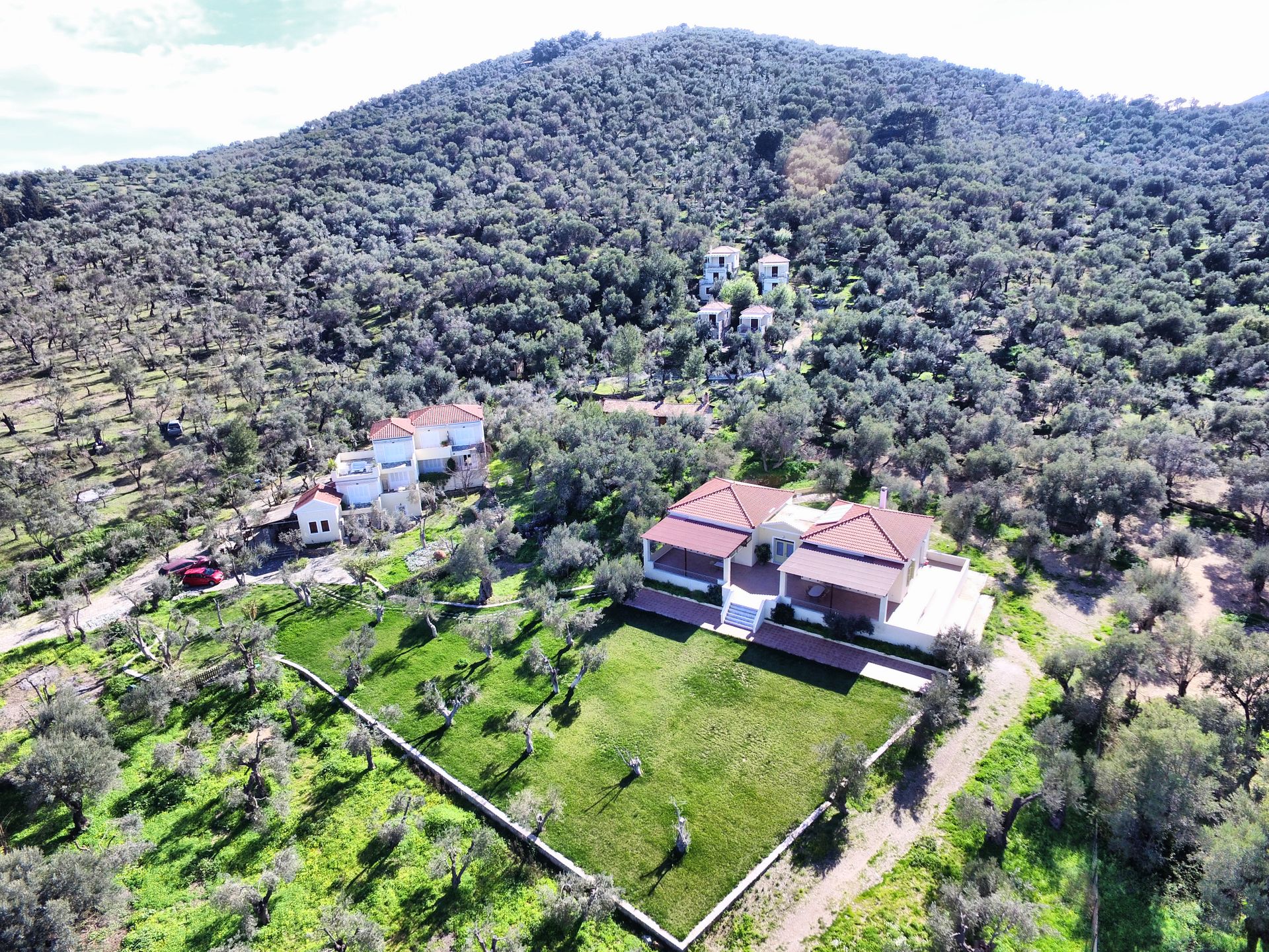 Gera's Olive Grove (Elaionas Tis Geras) - 29