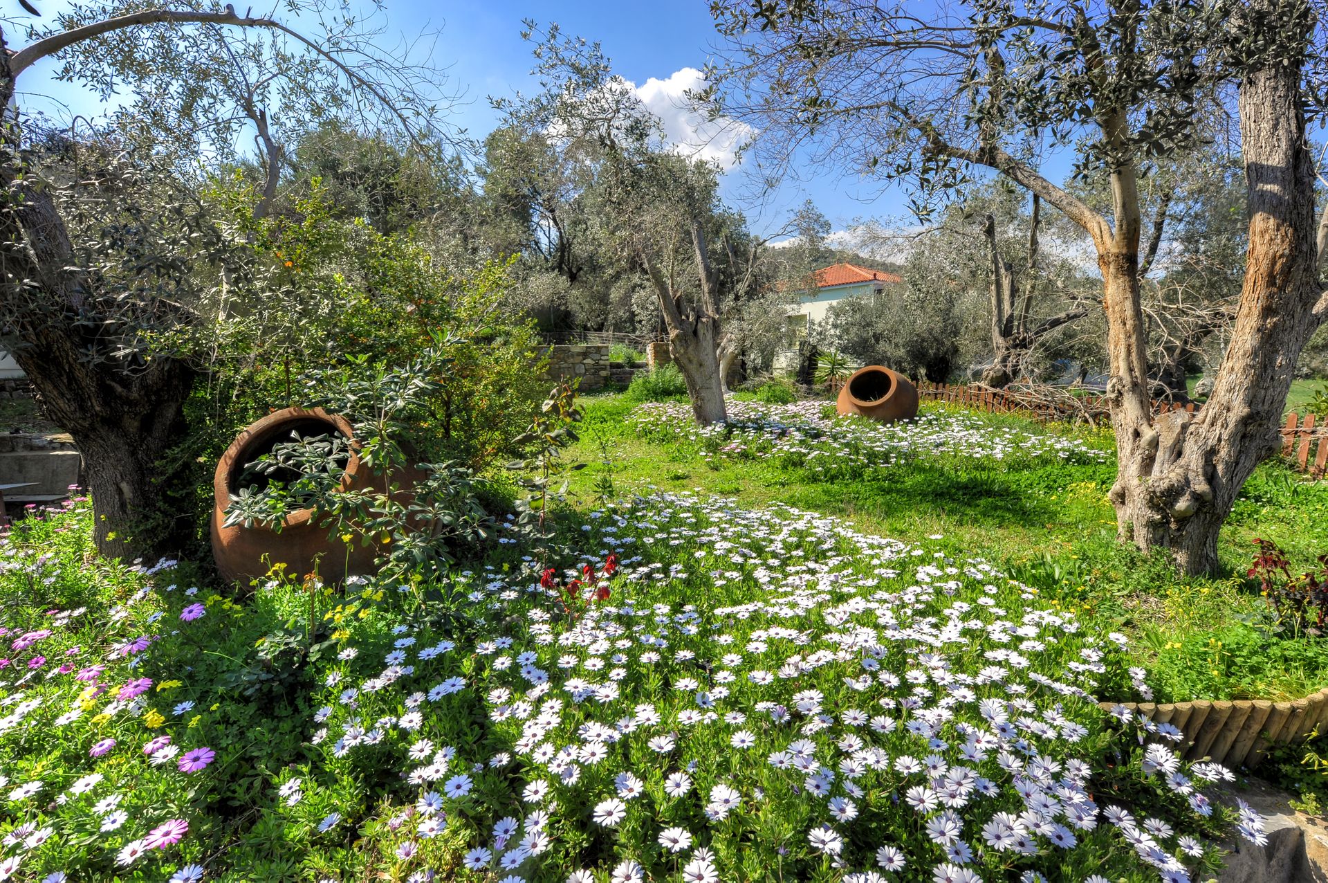 Gera's Olive Grove (Elaionas Tis Geras) - 30