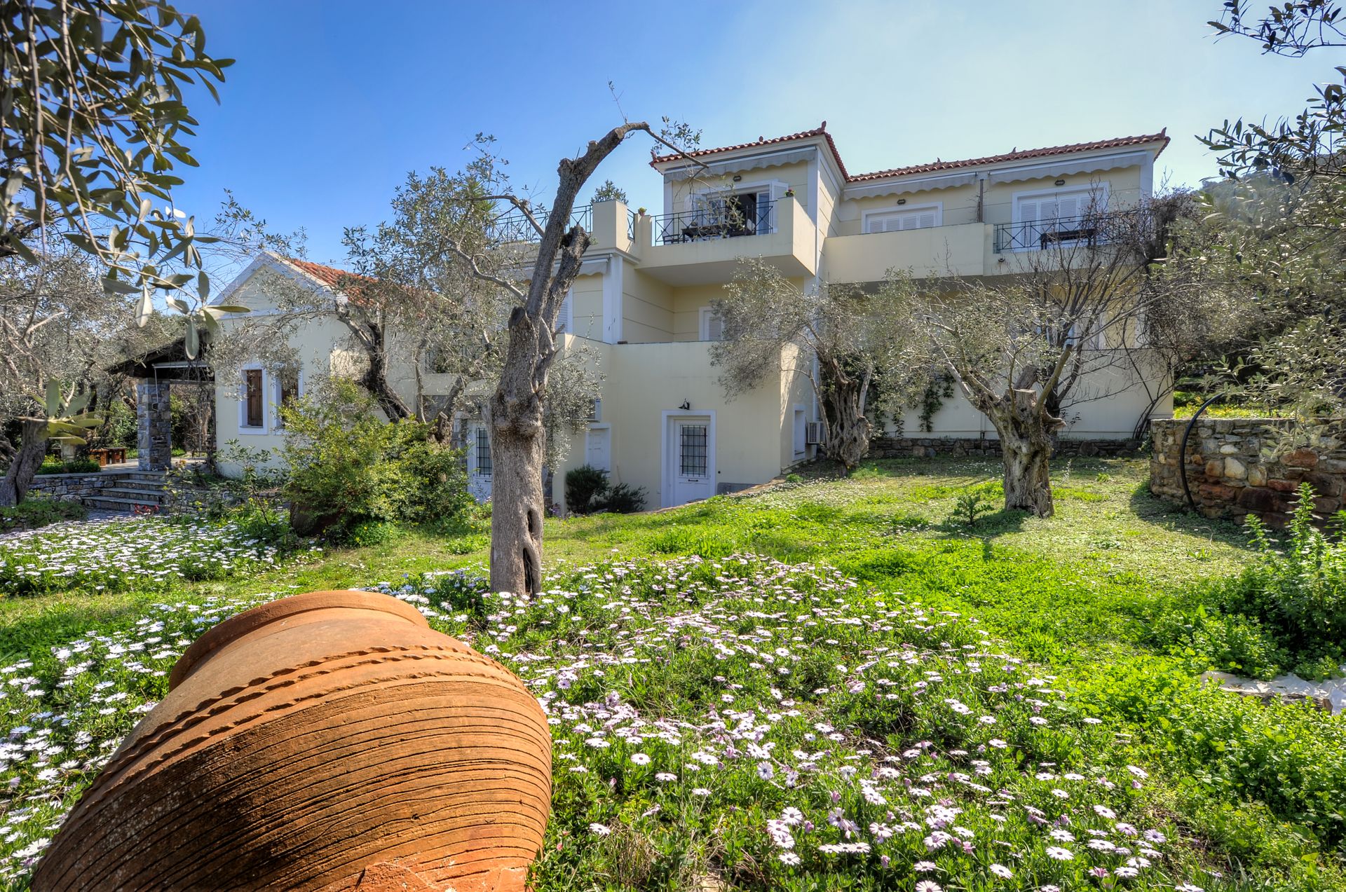 Gera's Olive Grove (Elaionas Tis Geras) - 31