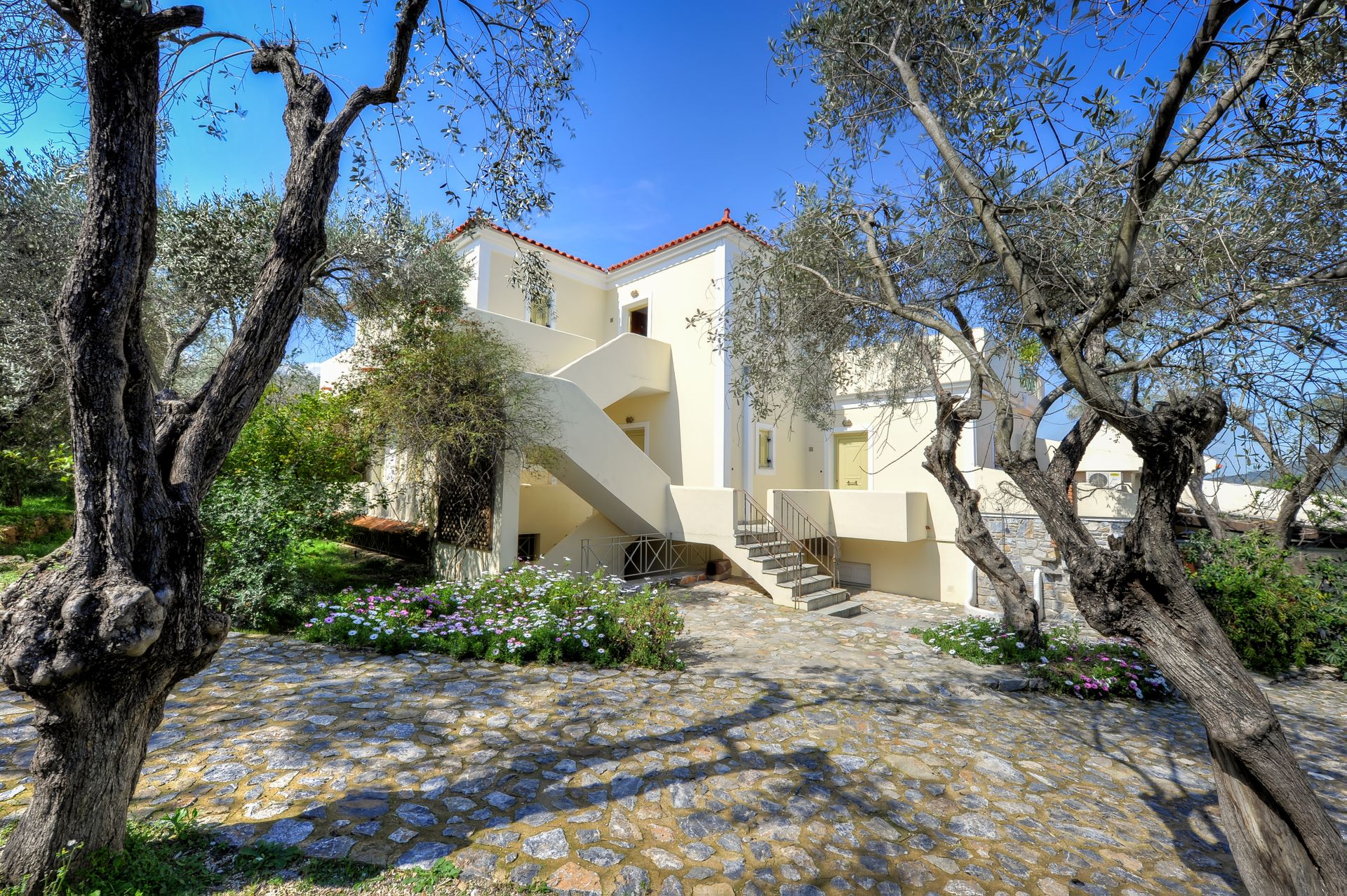 Gera's Olive Grove (Elaionas Tis Geras) - 33