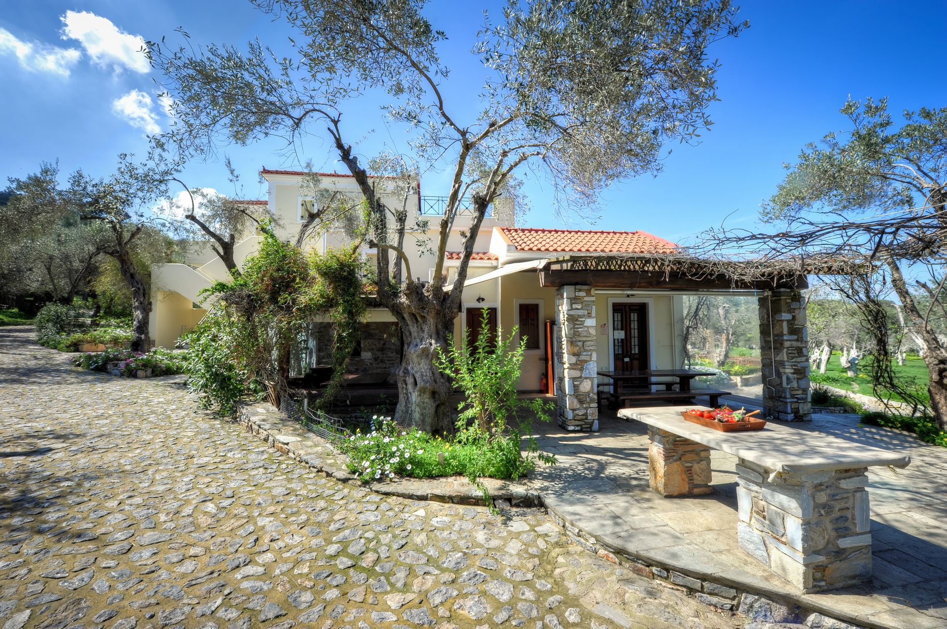Gera's Olive Grove (Elaionas Tis Geras) - 34