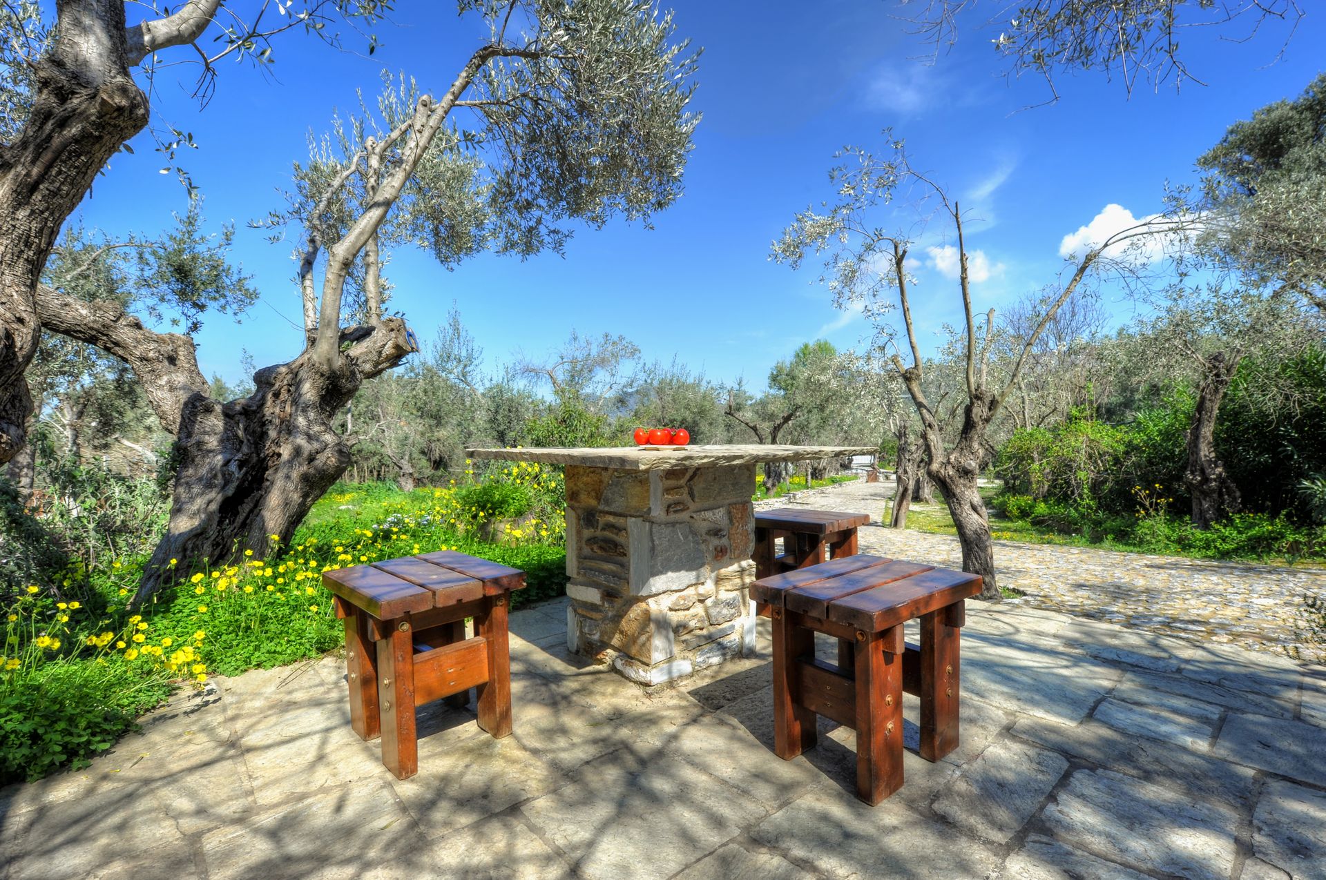 Gera's Olive Grove (Elaionas Tis Geras) - 35