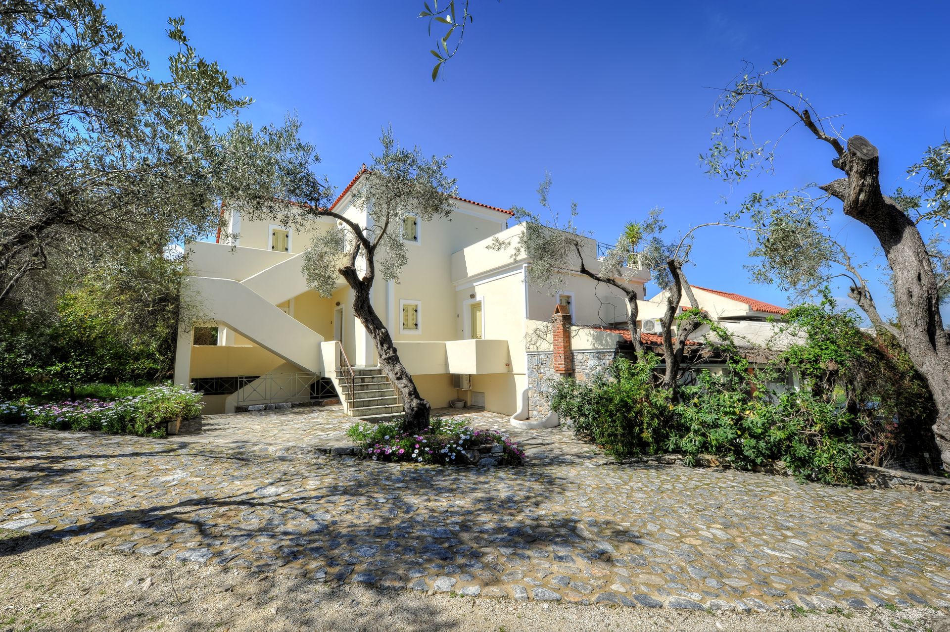 Gera's Olive Grove (Elaionas Tis Geras) - 36