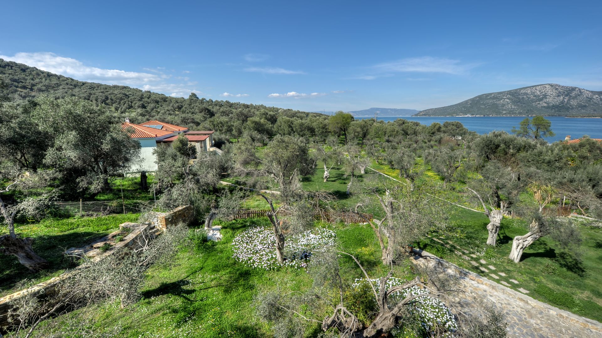 Gera's Olive Grove (Elaionas Tis Geras) - 38