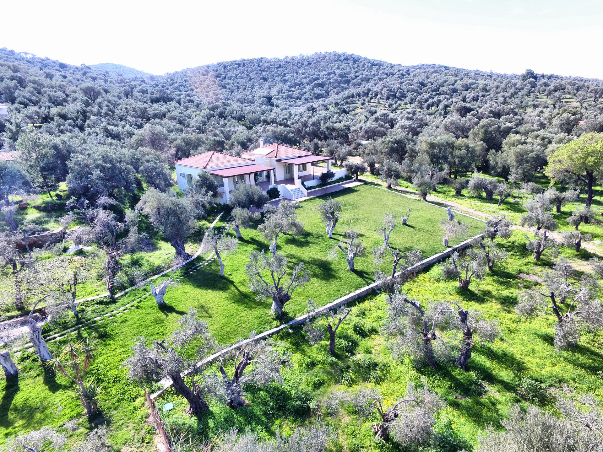 Gera's Olive Grove (Elaionas Tis Geras) - 39