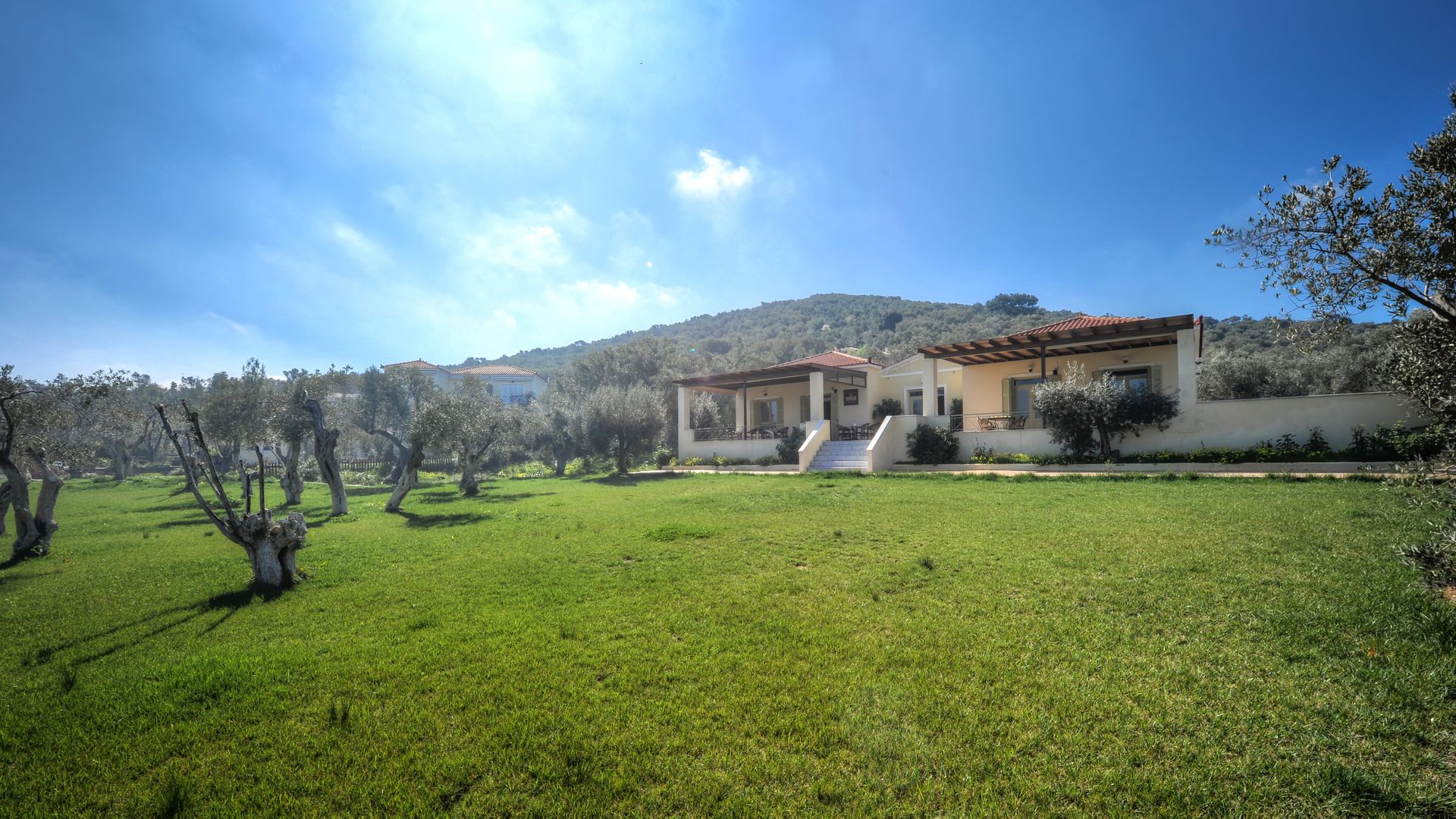 Gera's Olive Grove (Elaionas Tis Geras) - 40