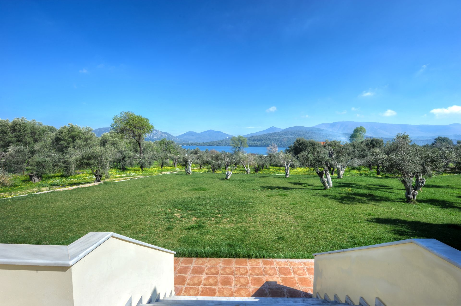 Gera's Olive Grove (Elaionas Tis Geras) - 49